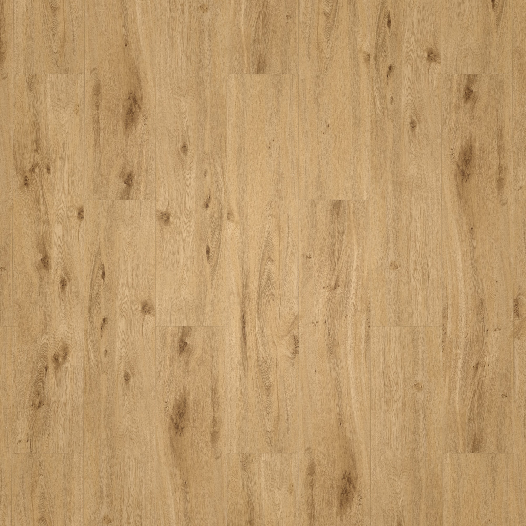 Draufsicht - ter Hürne Klebe-Vinyl Pro Classic Choice Eiche York Draufsicht - ter Hürne 1101210600
