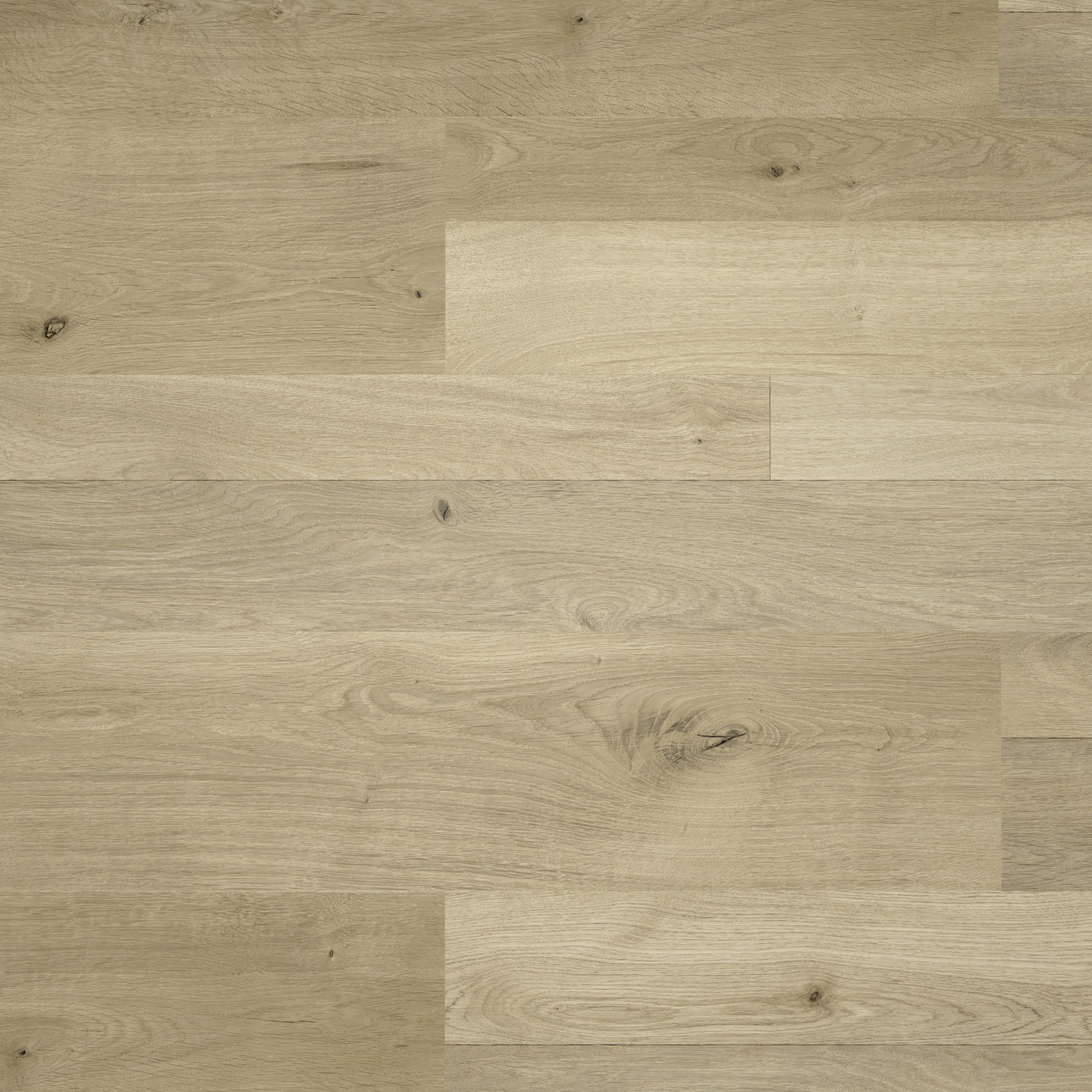 Draufsicht - MEISTER Laminat LC 55 Natural Oak Draufsicht - MEISTER 600012-1288198-06675