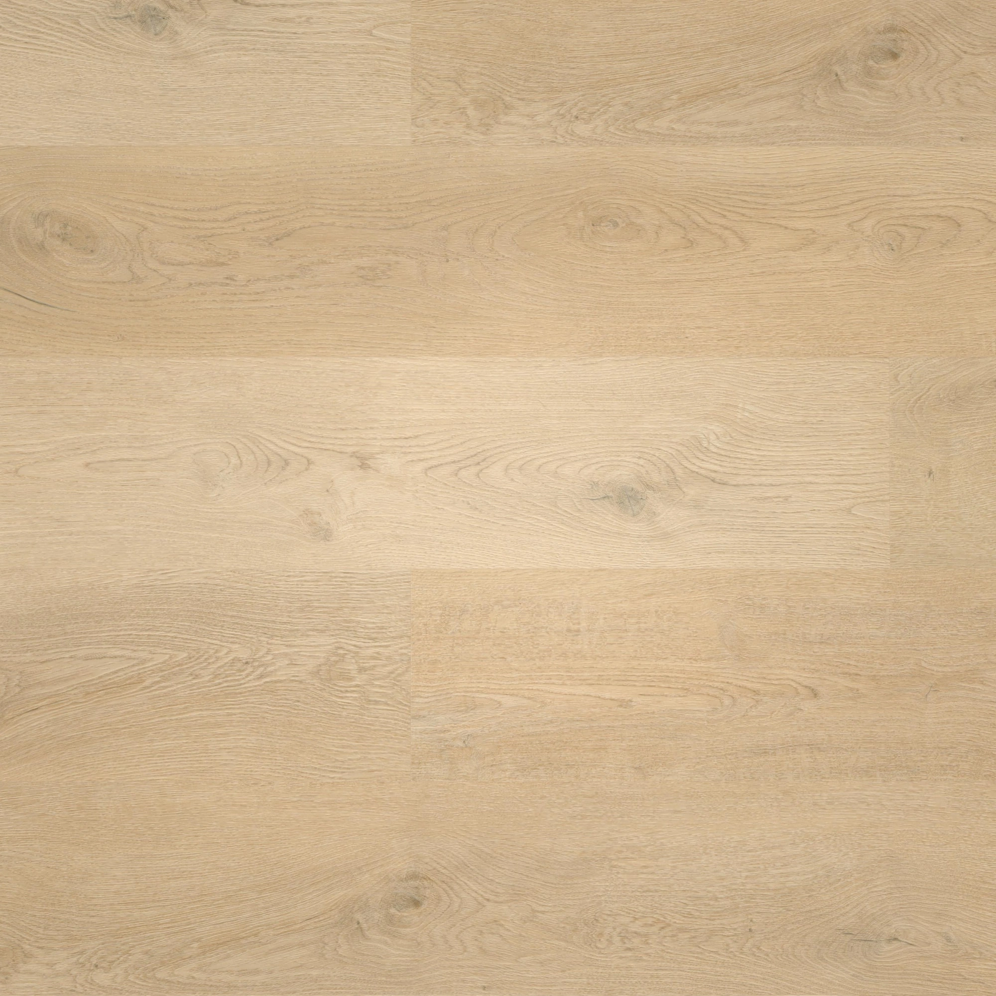 Draufsicht - wineo Rigid Klick-Vinyl wineo 400 wood L Plain Oak Beige Draufsicht - wineo RLC281WL