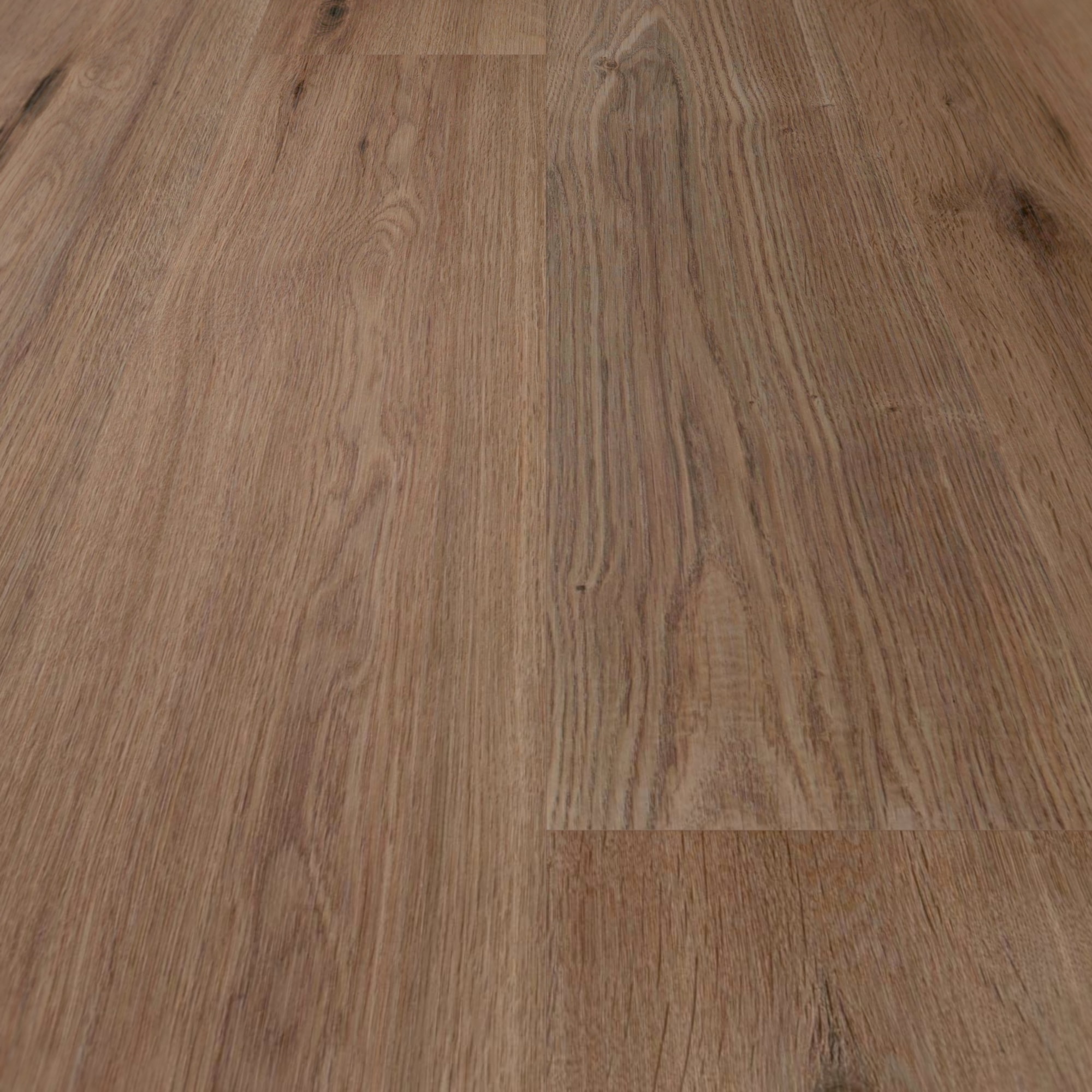 Detail Ansicht - wineo HDF Klick-Bioboden PURLINE wineo 1000 wood L Strong Oak Cappuccino Detail Ansicht - wineo MLP303R
