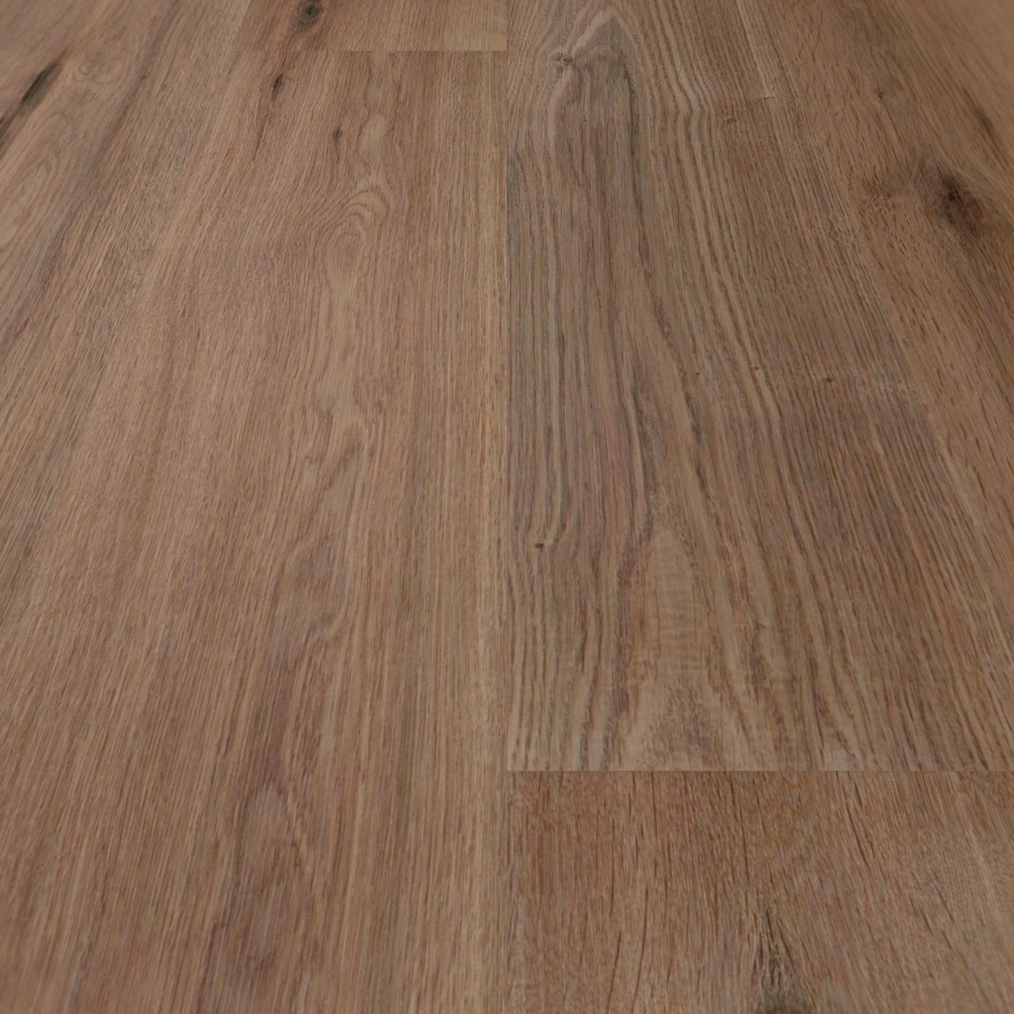 Detail Ansicht - wineo HDF Klick-Bioboden PURLINE wineo 1000 wood L Strong Oak Cappuccino Detail Ansicht - wineo MLP303R