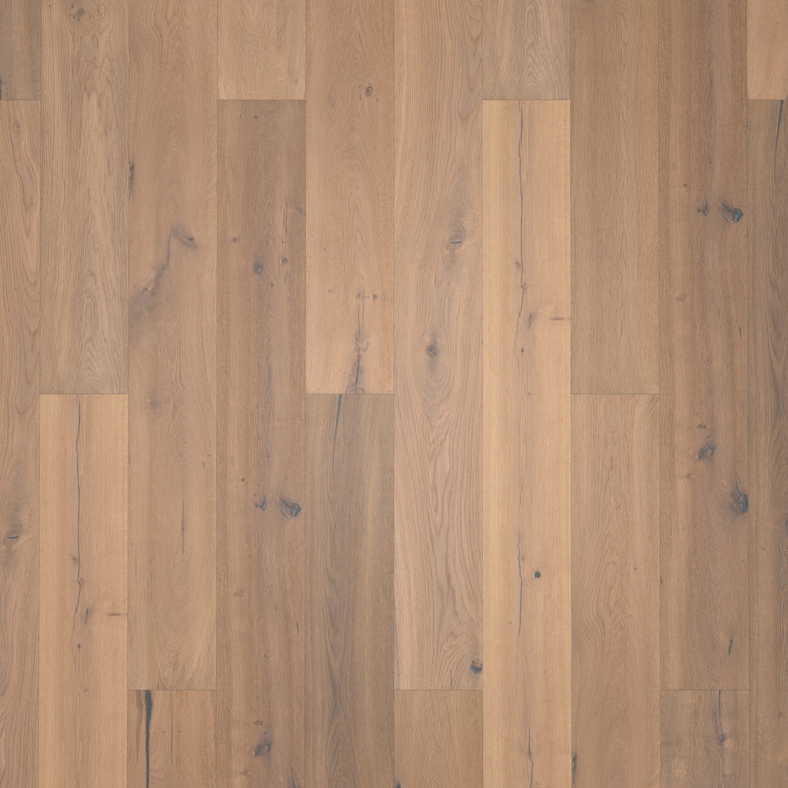 Bennett & Jones Parkett Shire Landscapes Oak No.2 Cornwall Tradition Gebürstete Struktur Natur-Geölt