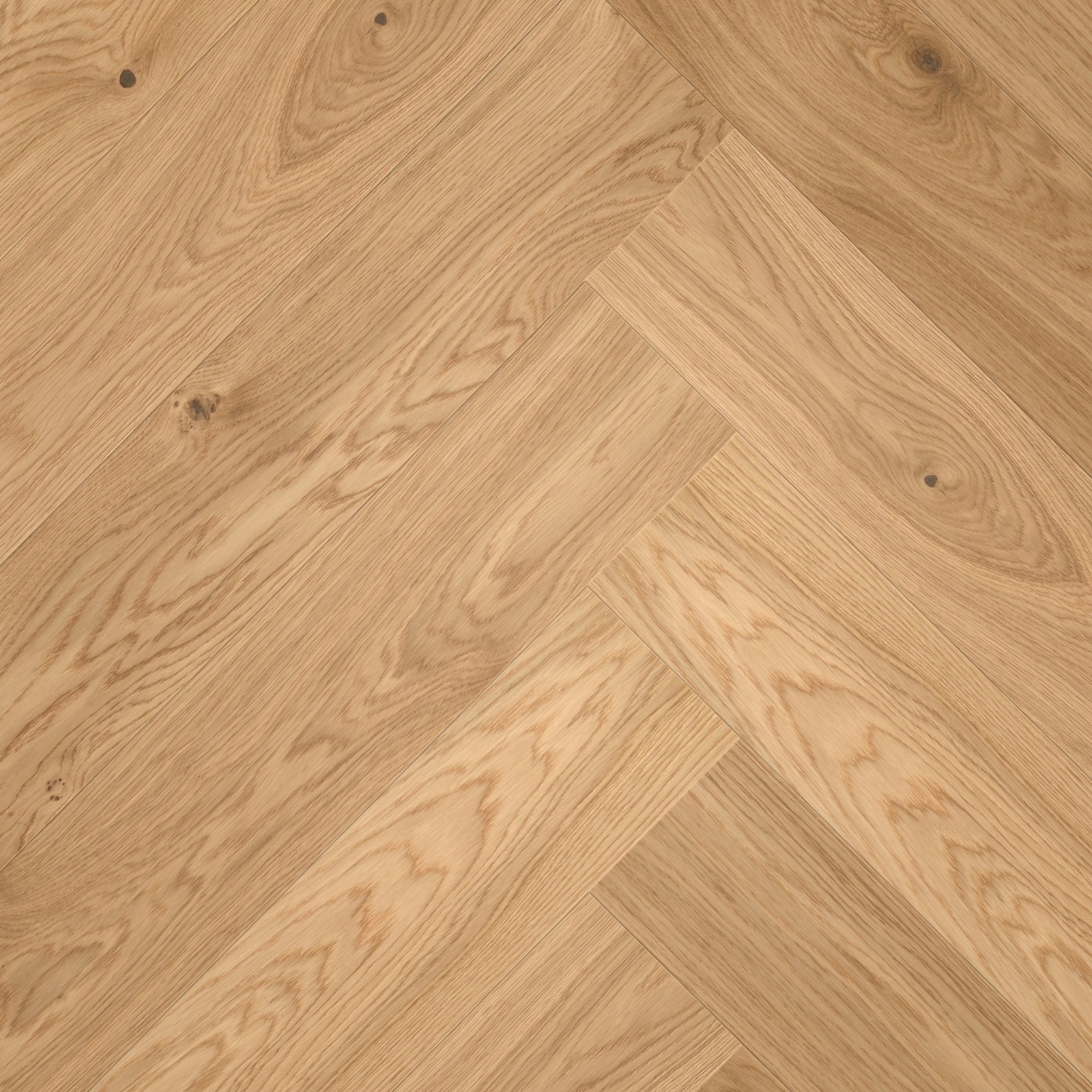 ter Hürne Parkett Light Collection EVO Eiche Fitzroy 444 Ausgeglichen Gebürstete Struktur Ultramatt-Lackiert