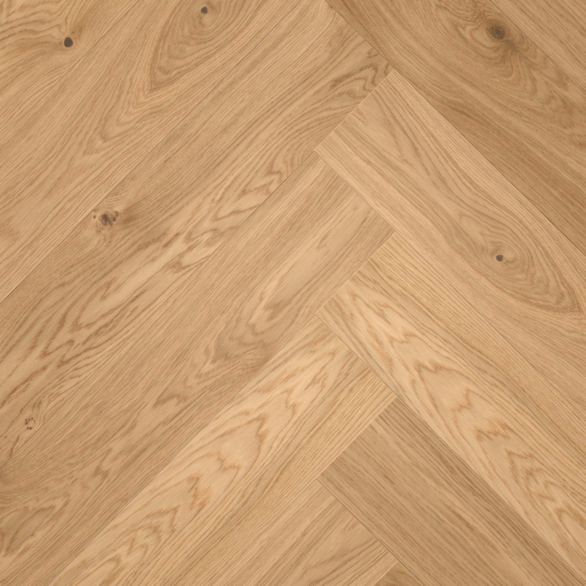 ter Hürne Parkett Light Collection EVO Eiche Fitzroy 444 Ausgeglichen Gebürstete Struktur Ultramatt-Lackiert ter Hürne Parkett Light Collection EVO Eiche Fitzroy 444 Ausgeglichen Gebürstete Struktur Ultramatt-Lackiert