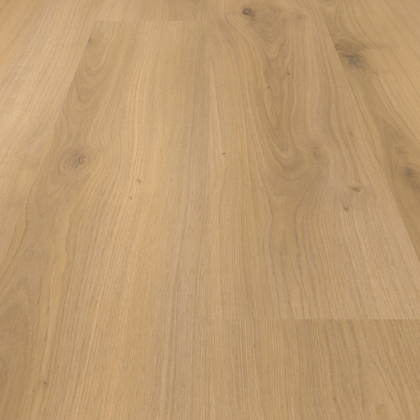 Parador Laminat Basic 400 Eiche Horizont Natur Seidenmatte Struktur 0V