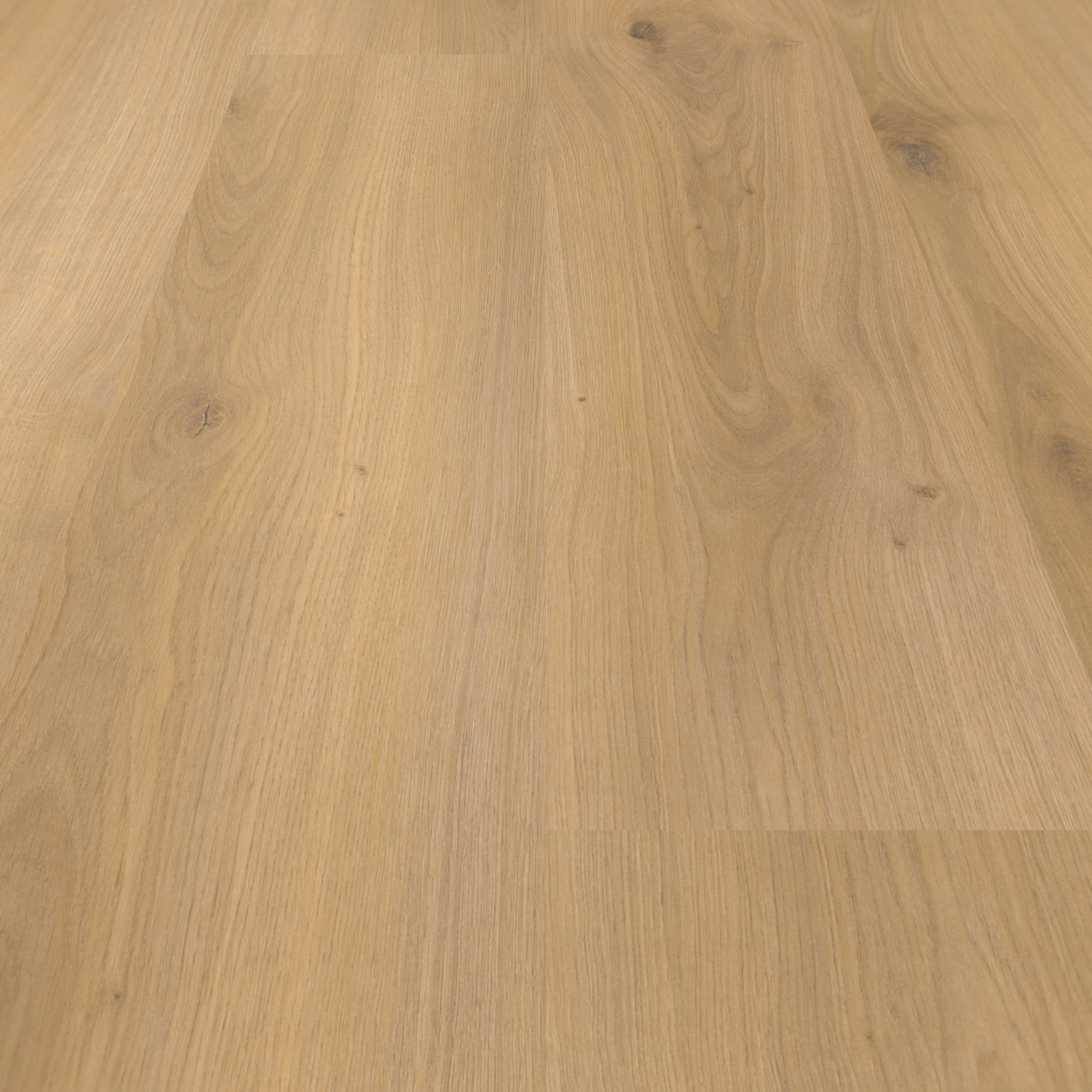 Parador Laminat Basic 400 Eiche Horizont Natur Seidenmatte Struktur 0V Parador Laminat Basic 400 Eiche Horizont Natur Seidenmatte Struktur 0V