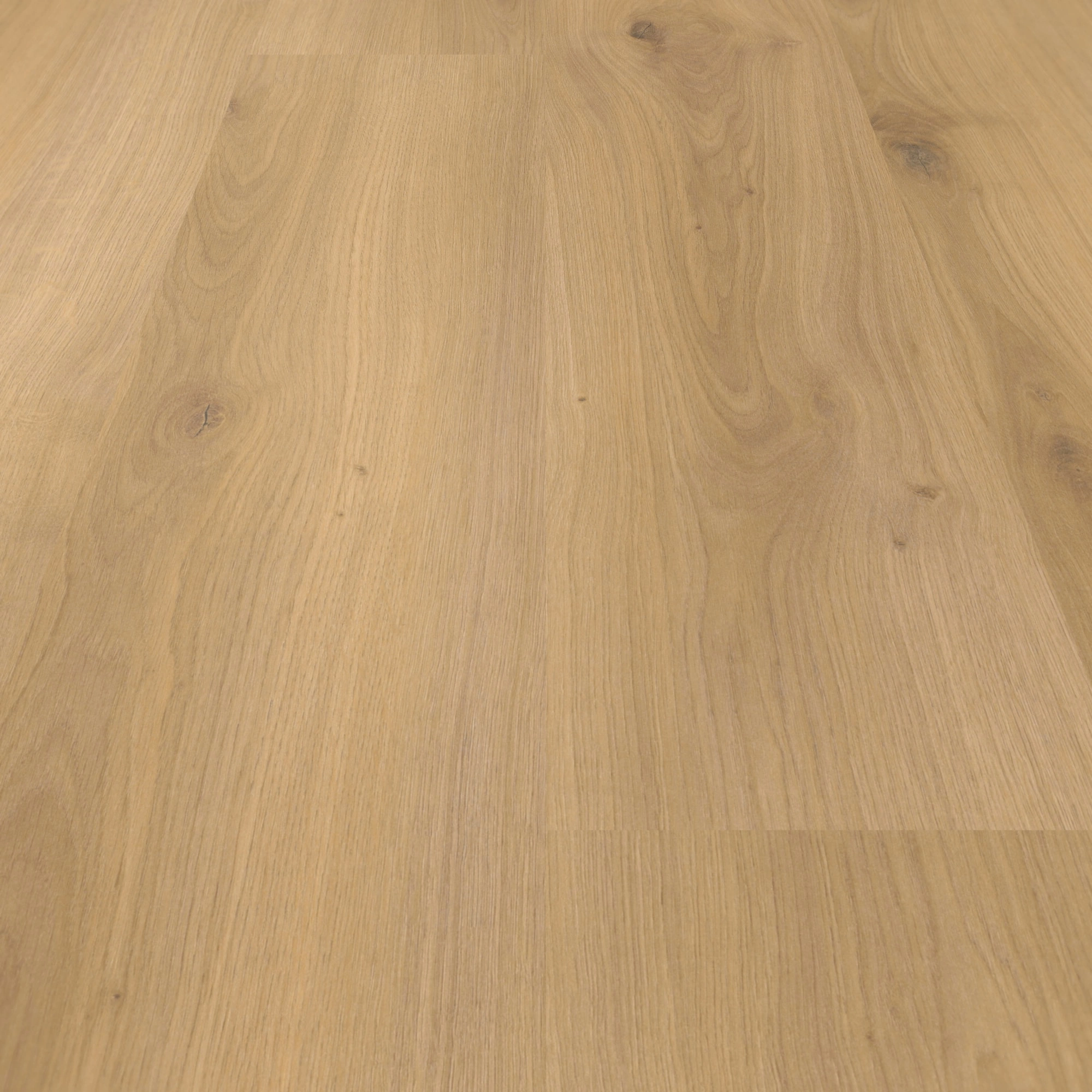 Parador Laminat Basic 400 Eiche Horizont Natur Seidenmatte Struktur 0V Parador Laminat Basic 400 Eiche Horizont Natur Seidenmatte Struktur 0V