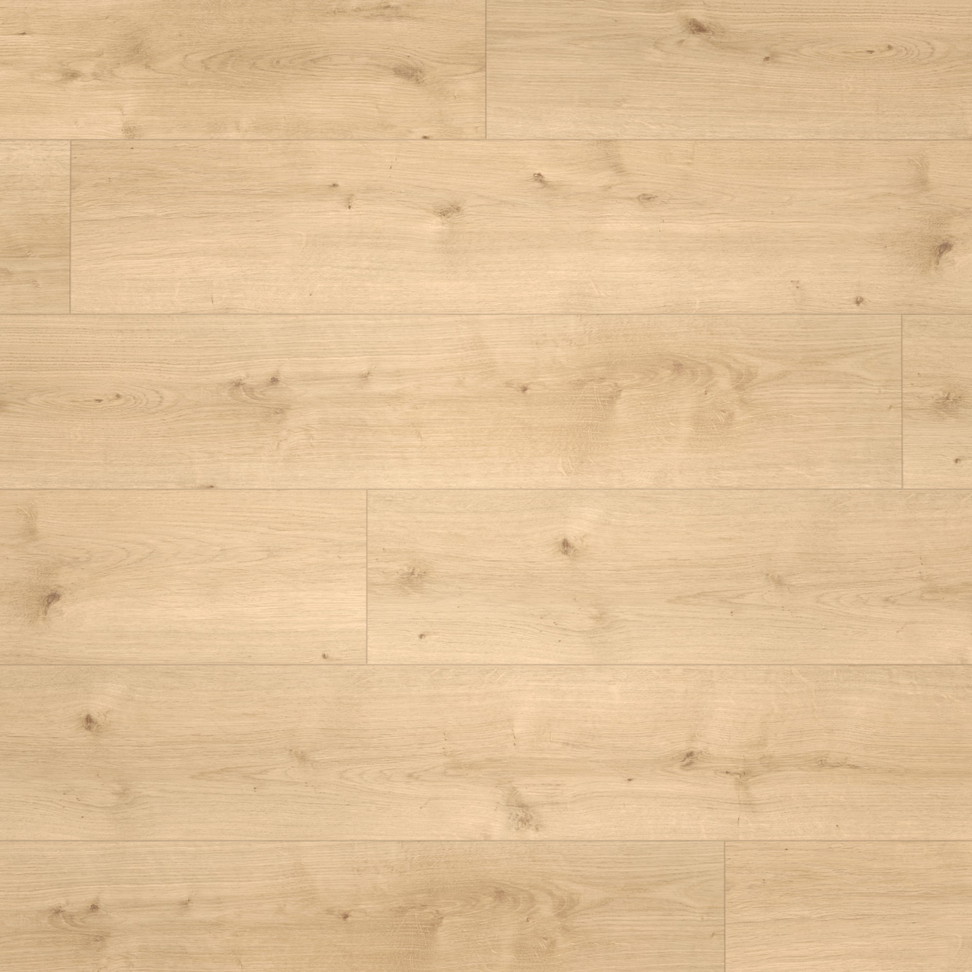 Draufsicht - Parador HDF Klick-Designboden Modular ONE Eiche Pure hell Draufsicht - Parador 1730767