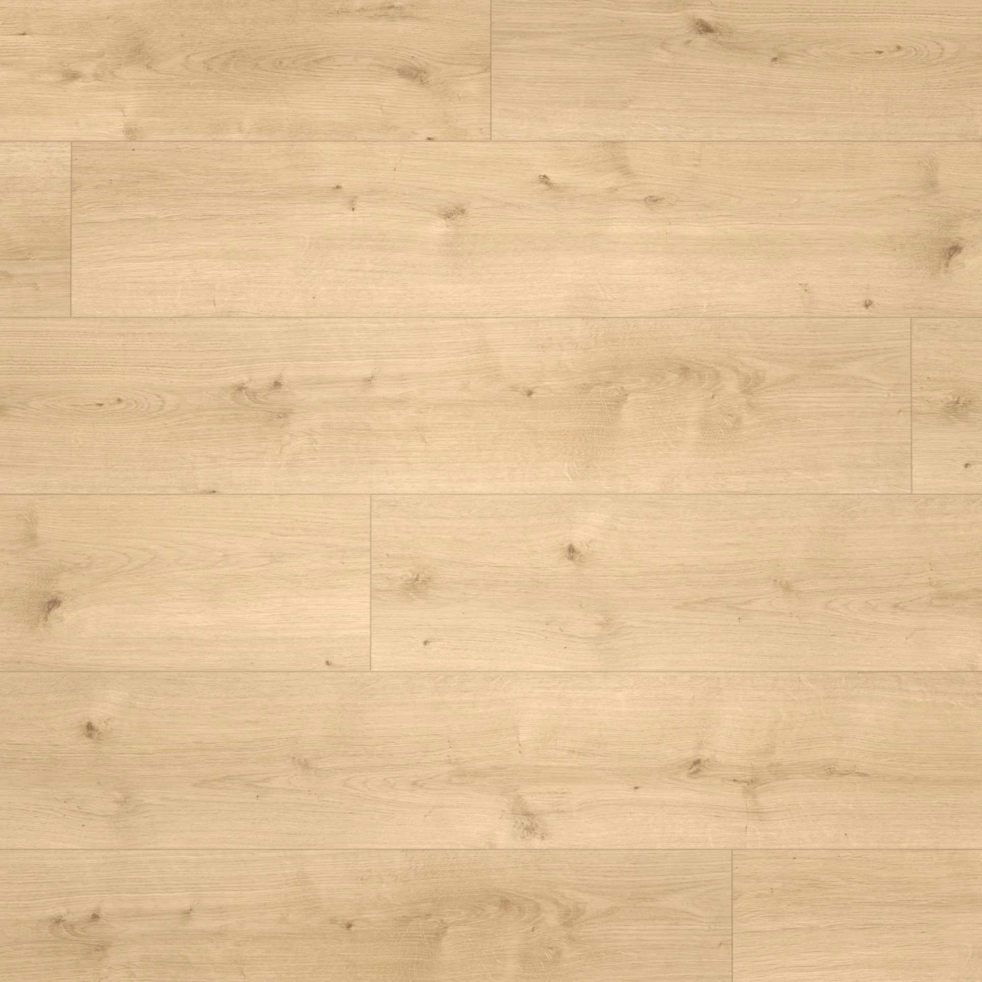 Draufsicht - Parador HDF Klick-Designboden Modular ONE Eiche Pure hell Draufsicht - Parador 1730767