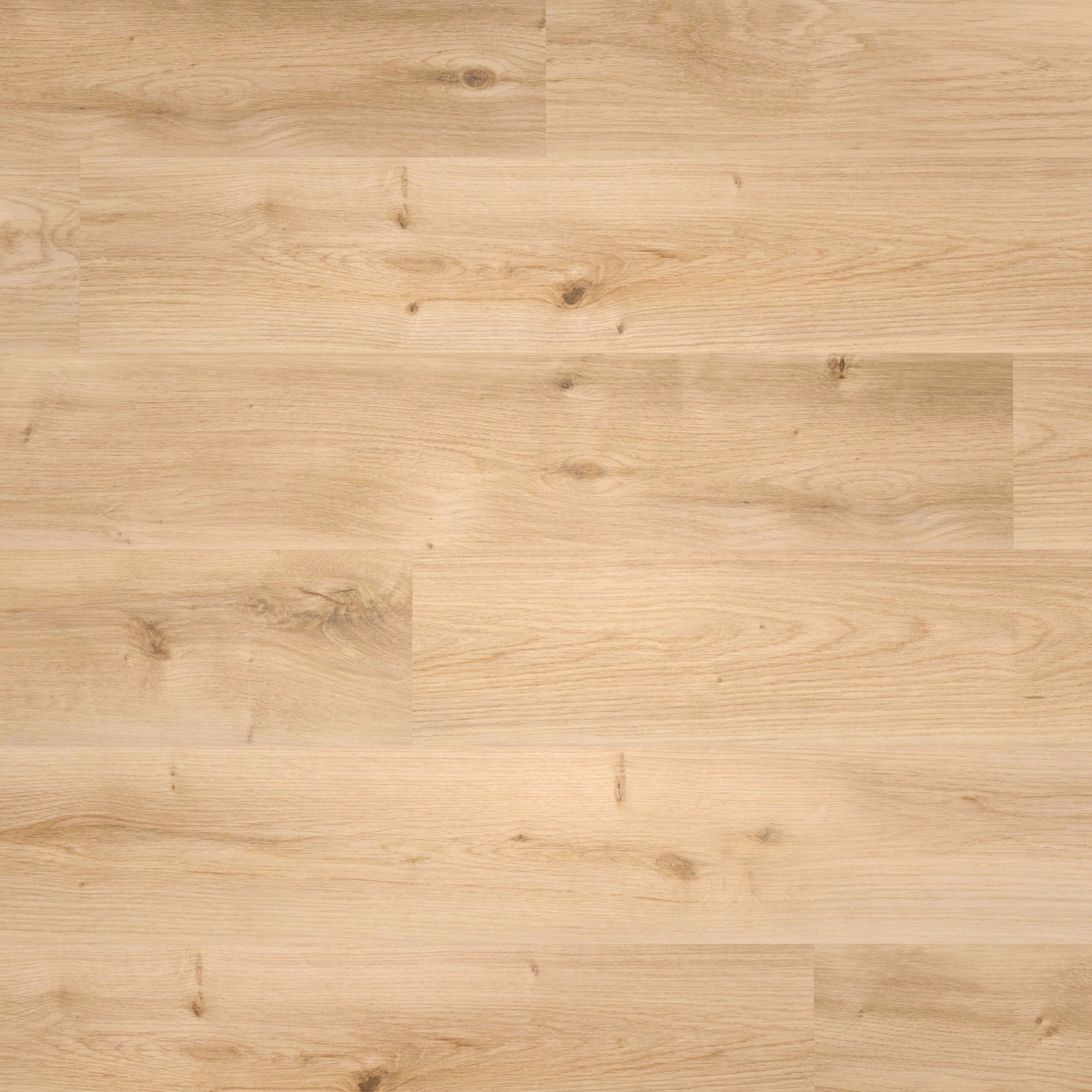 Draufsicht - wineo HDF Klick-Bioboden PURLINE wineo 1000 wood L Intensive Oak Honey Draufsicht - wineo MLP299R