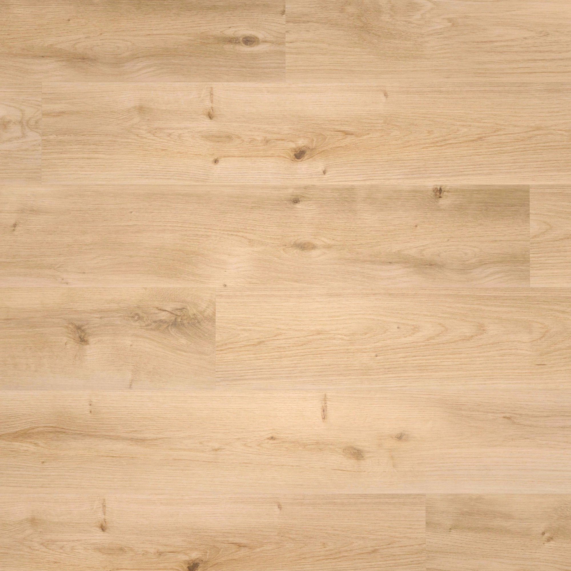 Draufsicht - wineo HDF Klick-Bioboden PURLINE wineo 1000 wood L Intensive Oak Honey Draufsicht - wineo MLP299R