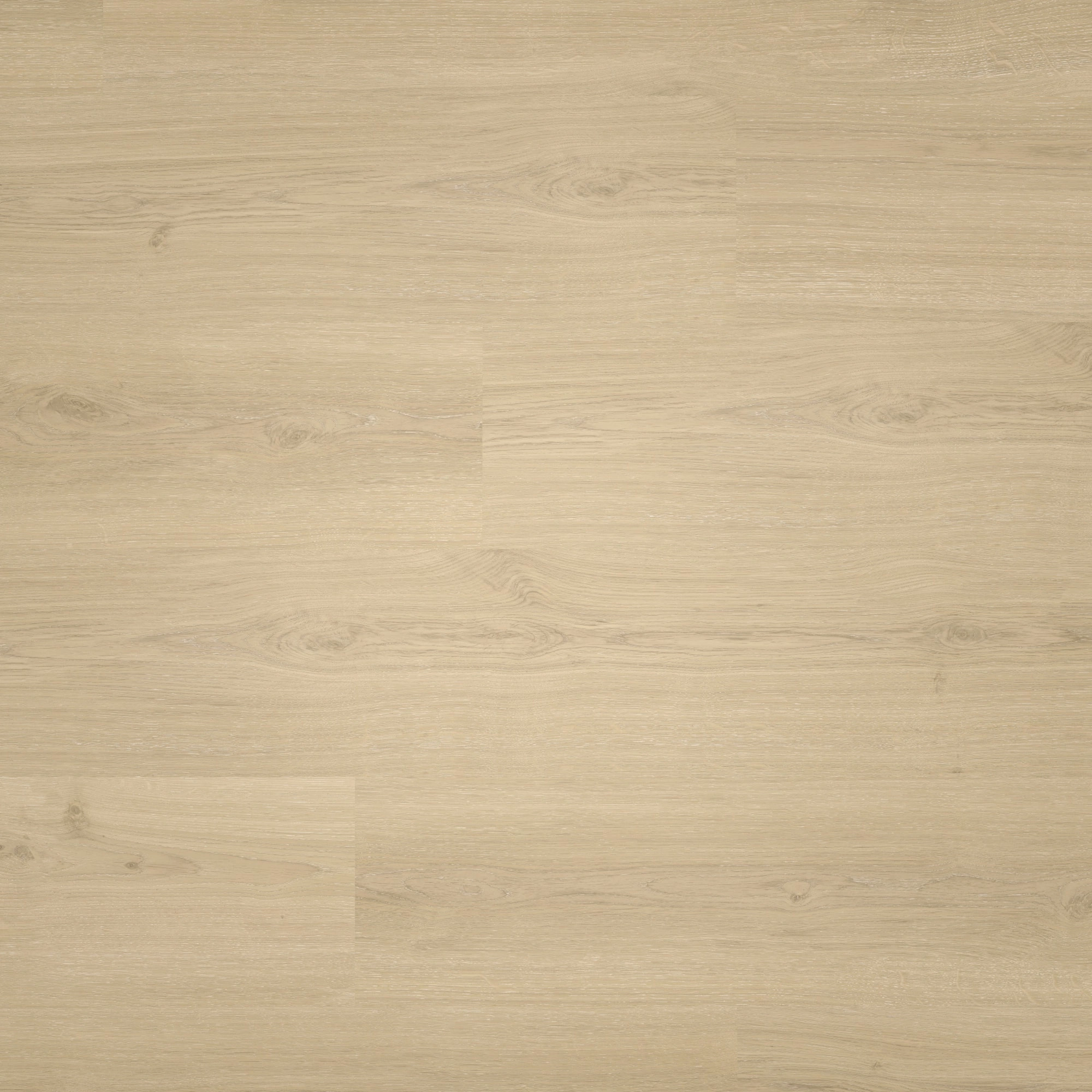 Draufsicht - Parador HDF Klick-Vinyl Basic 30 Eiche Regent beige Draufsicht - Parador 1748799