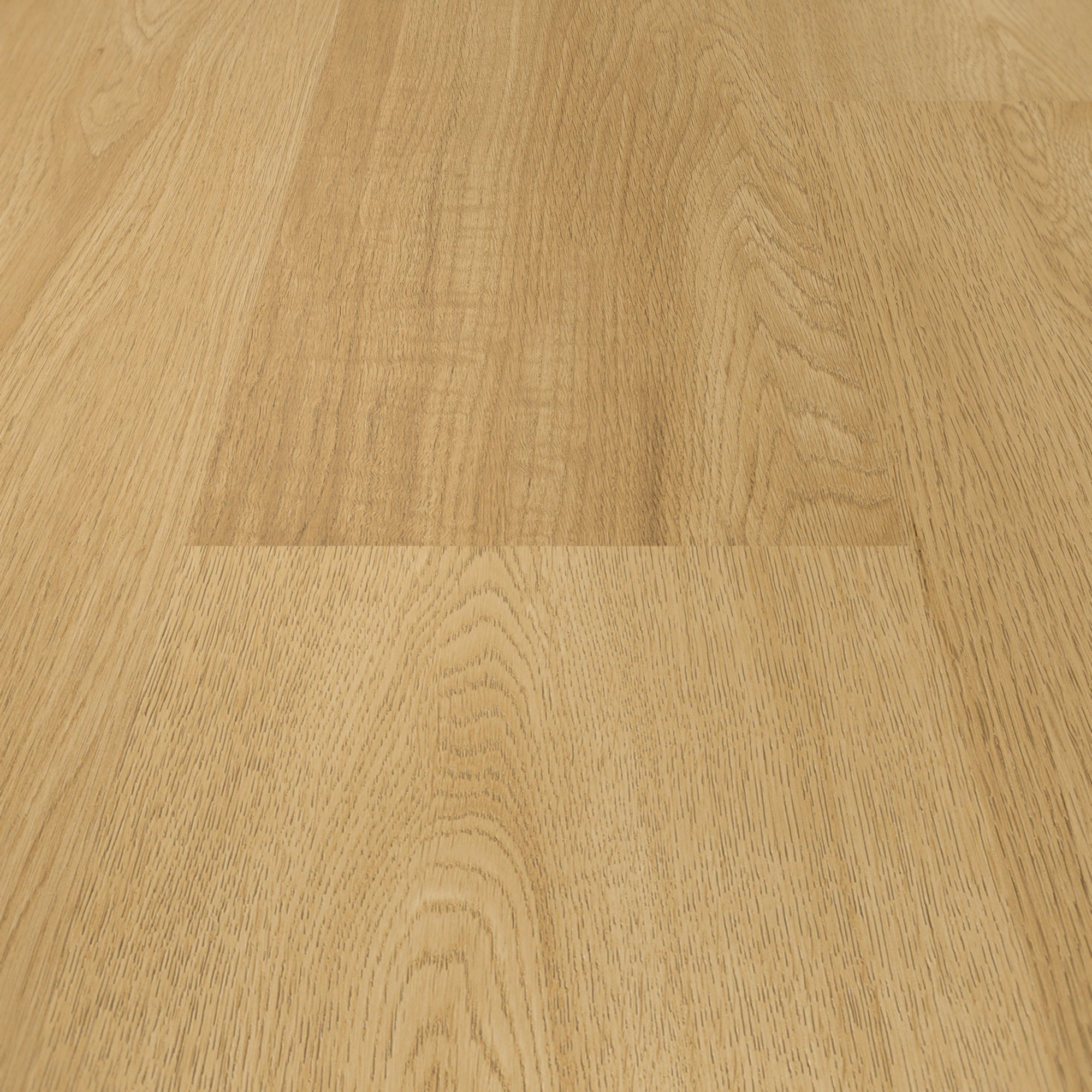 Detail Ansicht - ter Hürne Laminat Trend Edition Eiche Pure Detail Ansicht - ter Hürne 1101021843