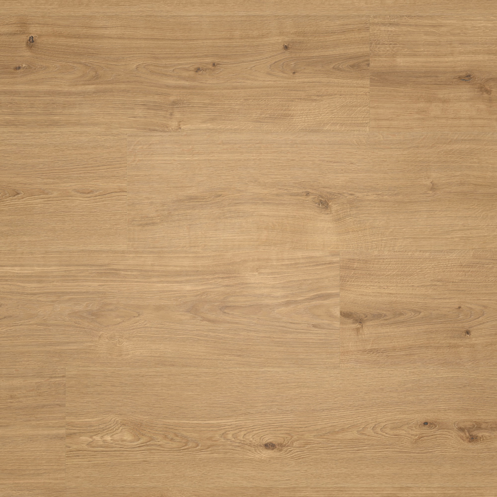 ter Hürne Klebe-Designboden Avatara Pro Classic Edition Eiche Askella 298 Gebürstete Struktur