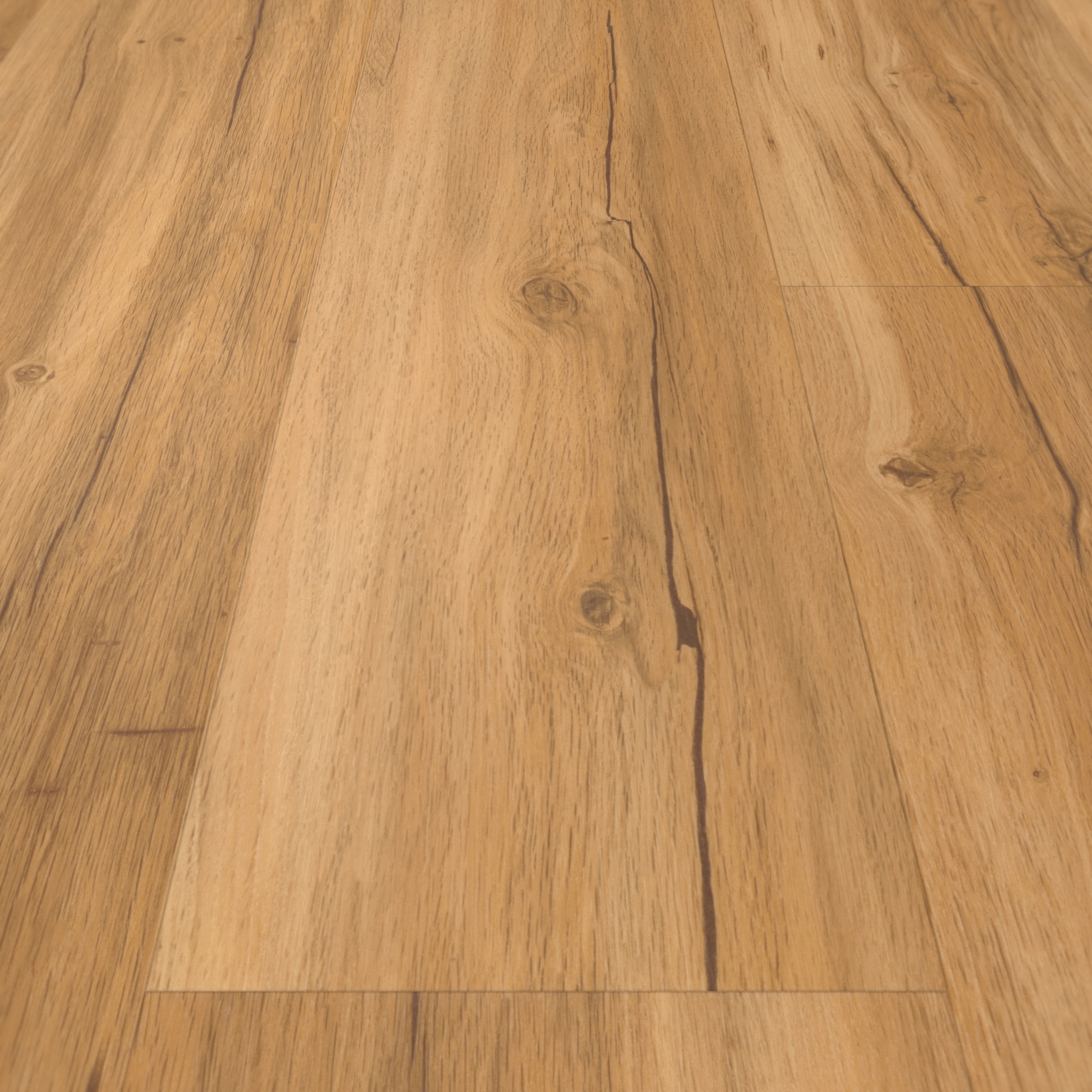 Detail Ansicht - Parador Klebe-Vinyl Classic 2025 Eiche Memory natur Detail Ansicht - Parador 1748871