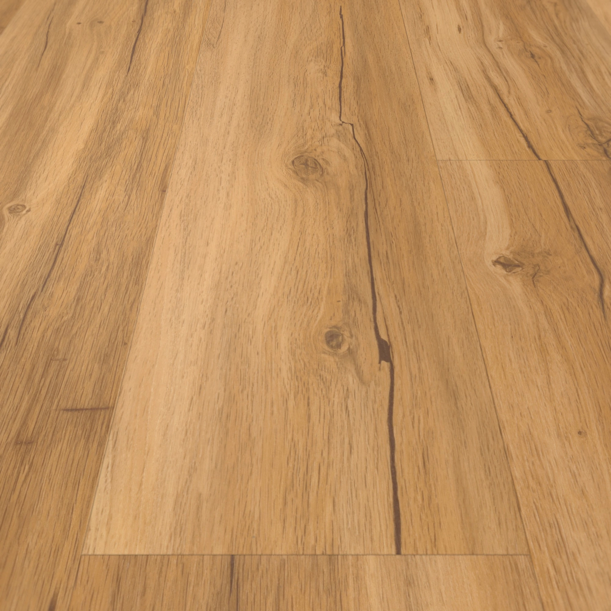 Detail Ansicht - Parador Klebe-Vinyl Classic 2025 Eiche Memory natur Detail Ansicht - Parador 1748871