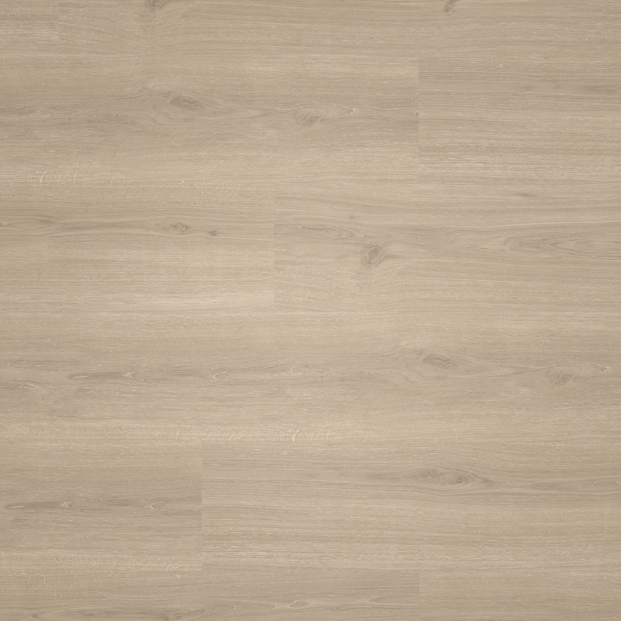 Draufsicht - Parador HDF Klick-Vinyl Basic 30 Eiche Regent grau Draufsicht - Parador 1748798