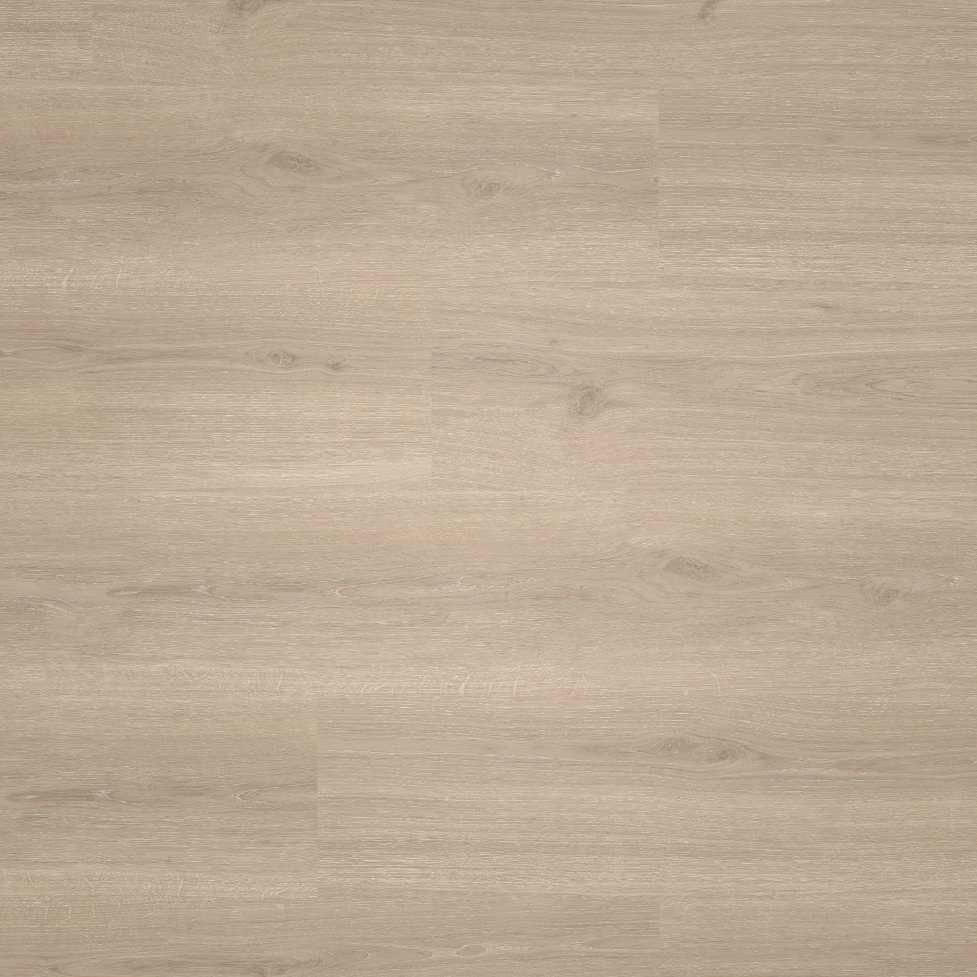 Draufsicht - Parador HDF Klick-Vinyl Basic 30 Eiche Regent grau Draufsicht - Parador 1748798