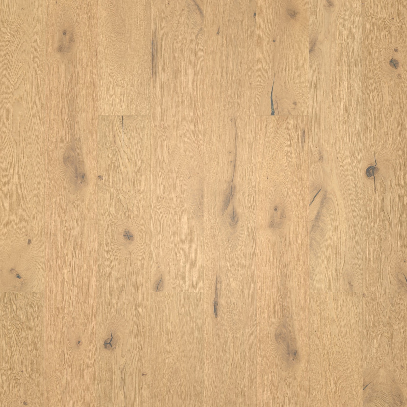 Bennett & Jones Parkett Shire Landscapes Oak No.32 South Downs 292 Intense Gebürstete Struktur Natur-Geölt Weiß