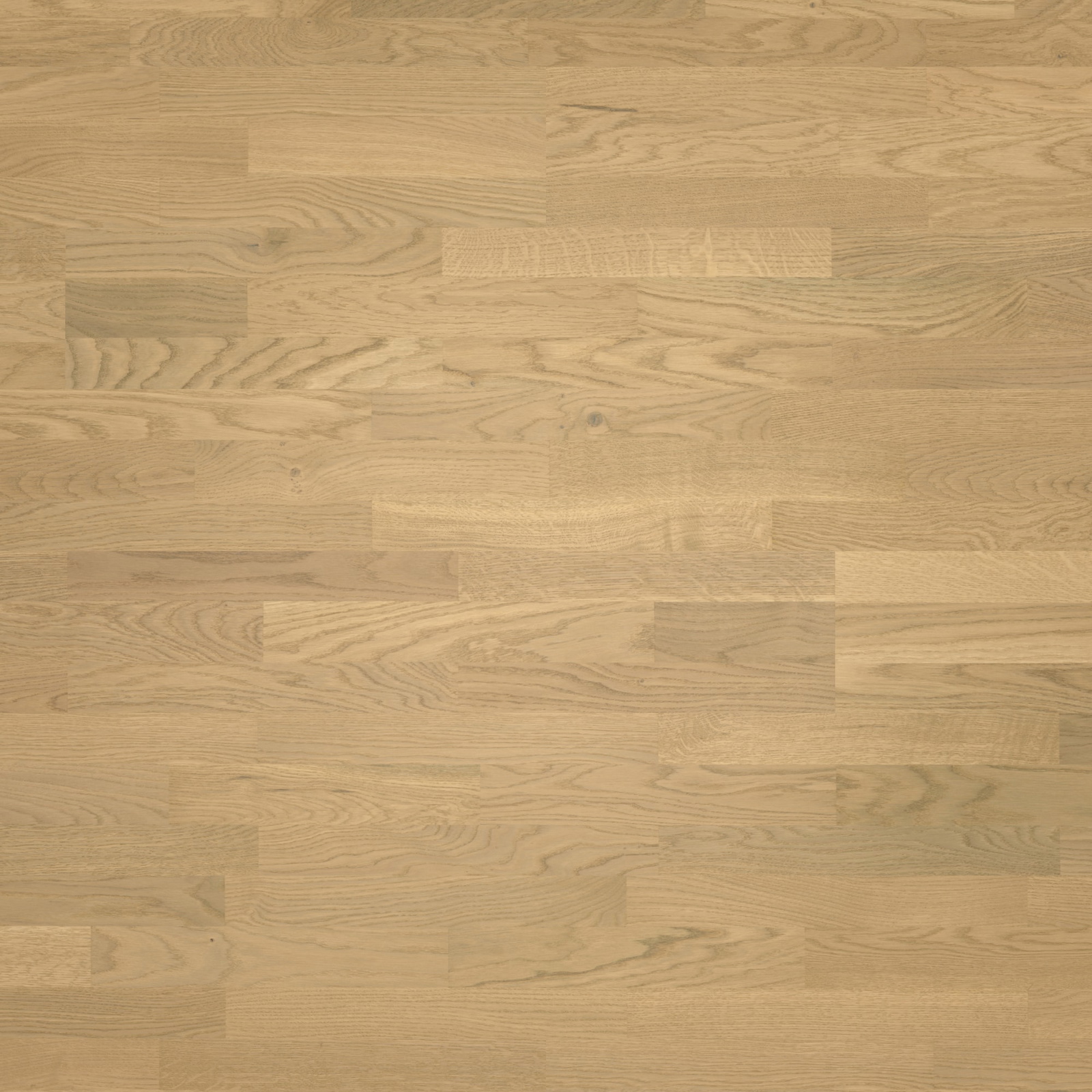 Parador Parkett Classic 3025 Eiche Malbec leicht geweißt Rustikal Holzstruktur Matt-Lackiert