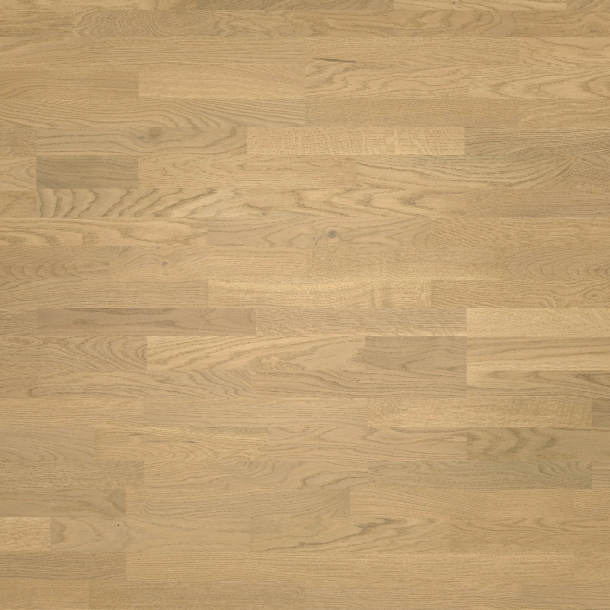 Parador Parkett Classic 3025 Eiche Malbec leicht geweißt Rustikal Holzstruktur Matt-Lackiert Parador Parkett Classic 3025 Eiche Malbec leicht geweißt Rustikal Holzstruktur Matt-Lackiert