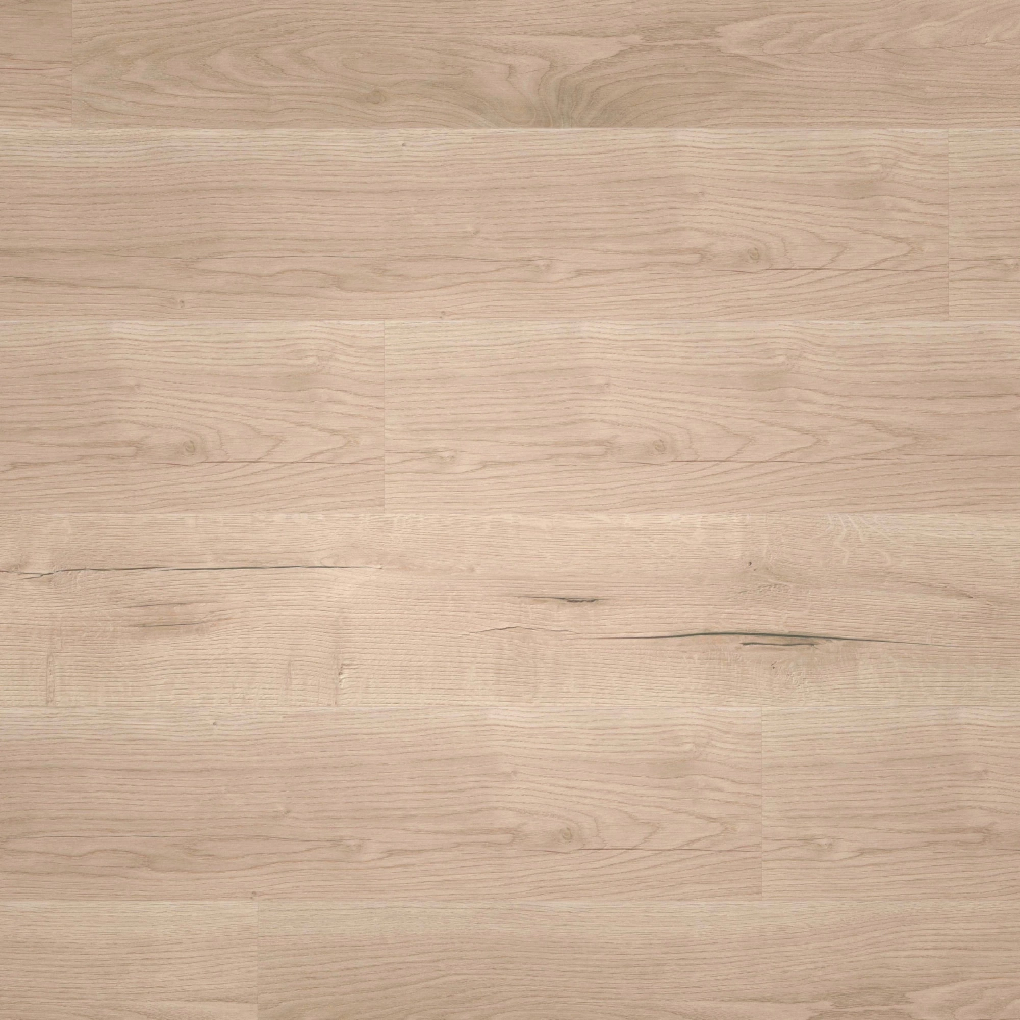 Draufsicht - wineo Klick-Bioboden PURLINE wineo 1000 wood L Comfort Oak Sand Draufsicht - wineo PLC298R