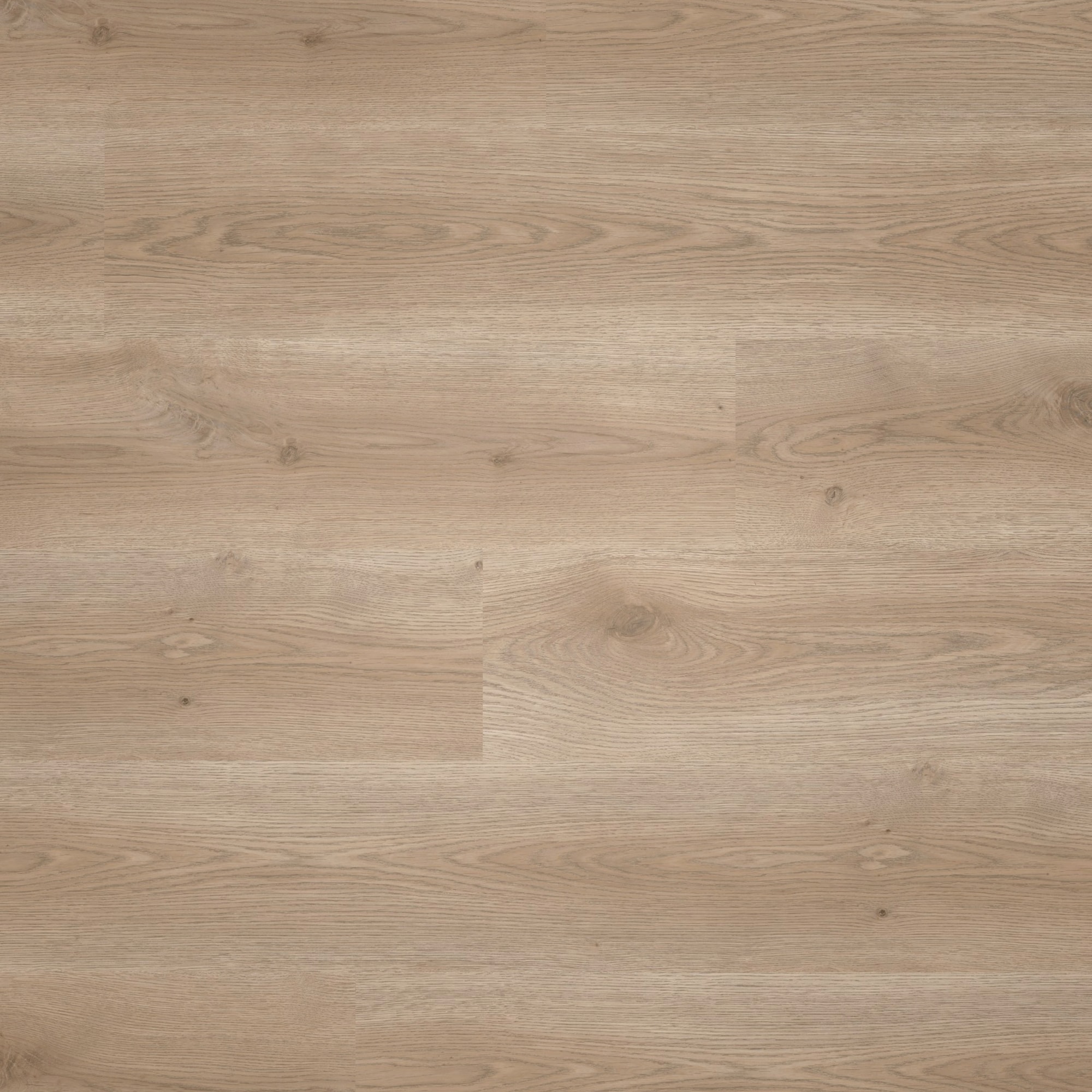 Tarkett Klebe-Vinyl iD Classics Glue-Down 30 Contemporary Oak Grege Tarkett Klebe-Vinyl iD Classics Glue-Down 30 Contemporary Oak Grege