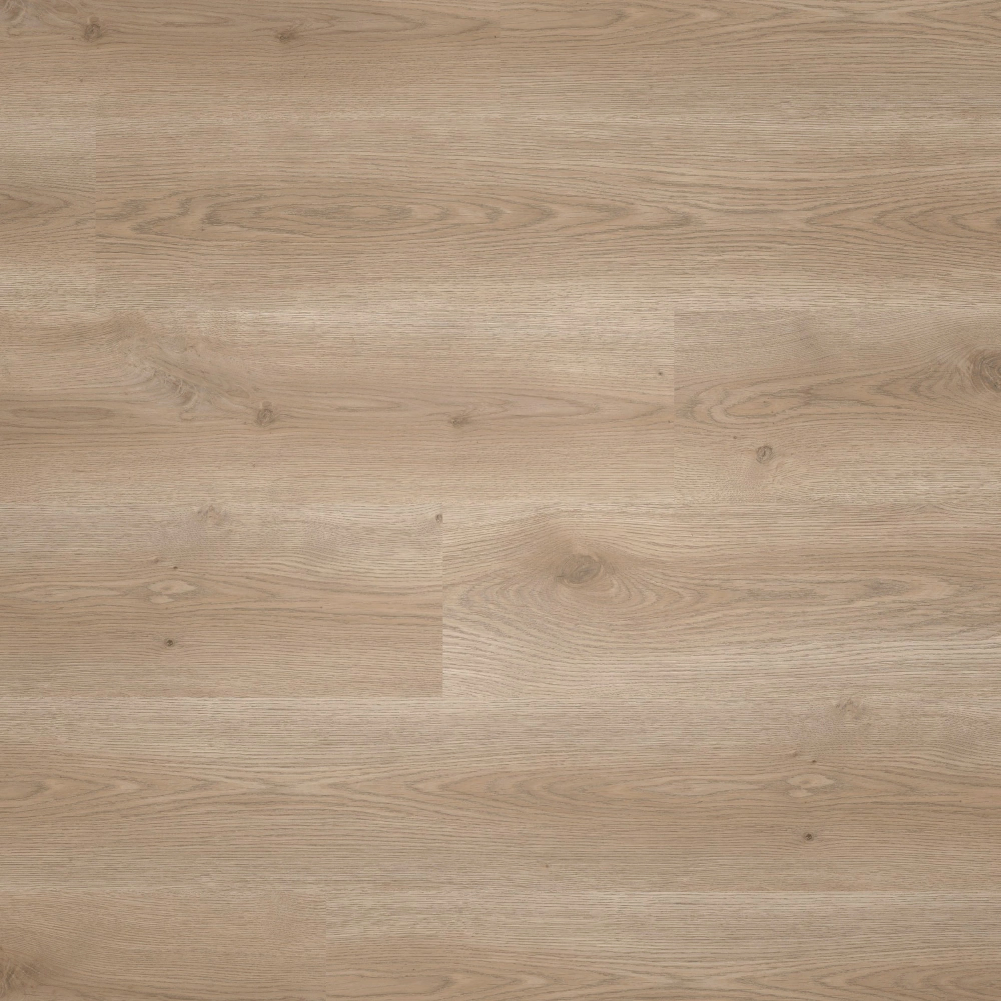Tarkett Klebe-Vinyl iD Classics Glue-Down 30 Contemporary Oak Grege Tarkett Klebe-Vinyl iD Classics Glue-Down 30 Contemporary Oak Grege