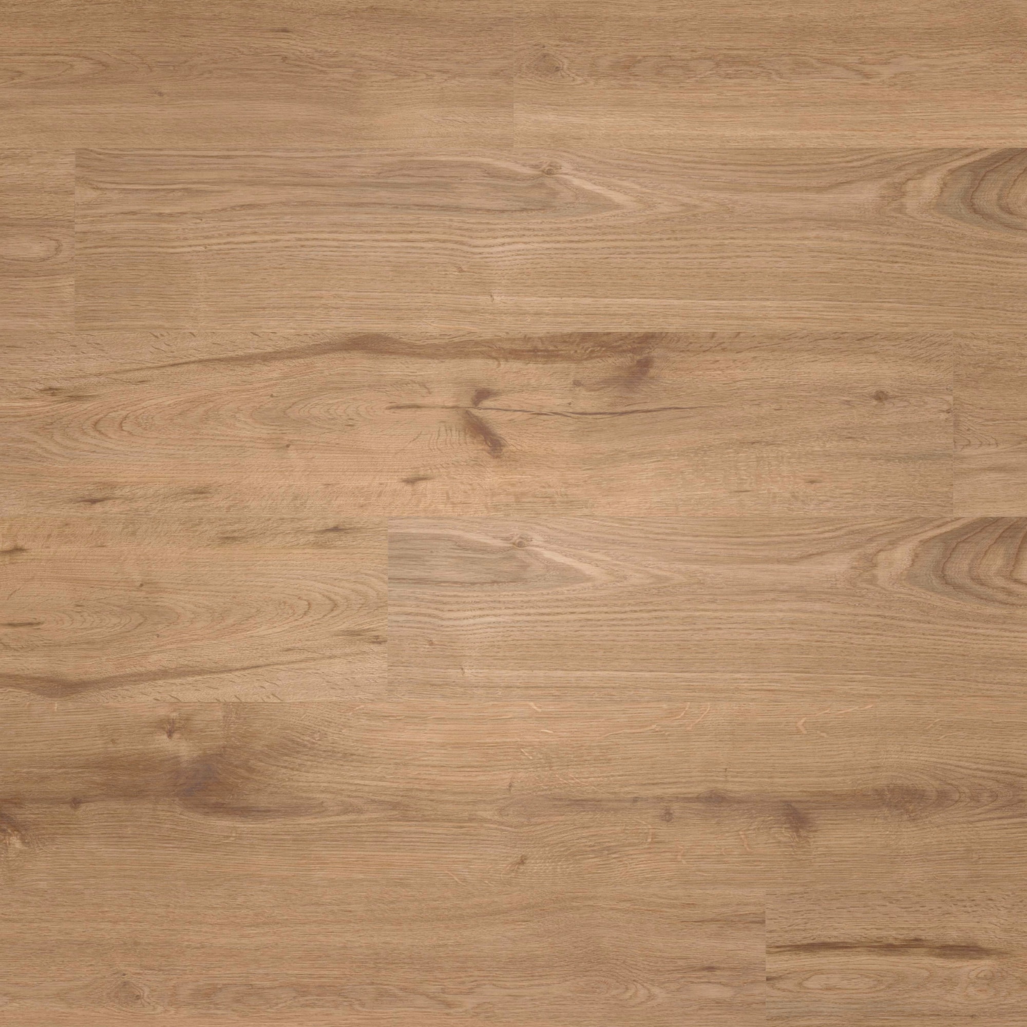 Draufsicht - wineo HDF Klick-Bioboden PURLINE wineo 1000 wood L Strong Oak Cinnamon Draufsicht - wineo MLP301R