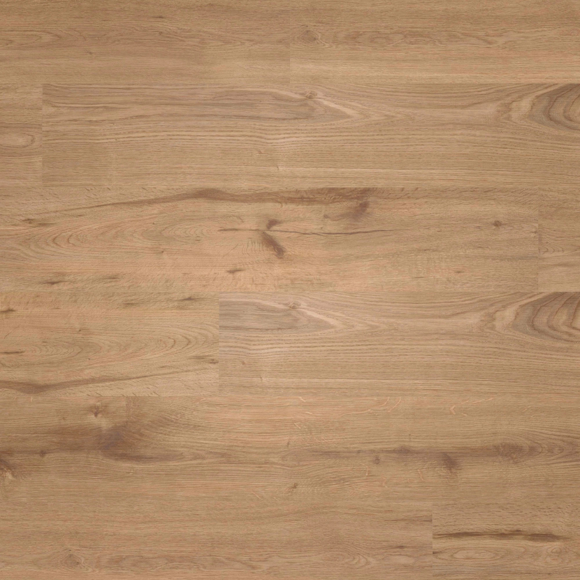 Draufsicht - wineo HDF Klick-Bioboden PURLINE wineo 1000 wood L Strong Oak Cinnamon Draufsicht - wineo MLP301R