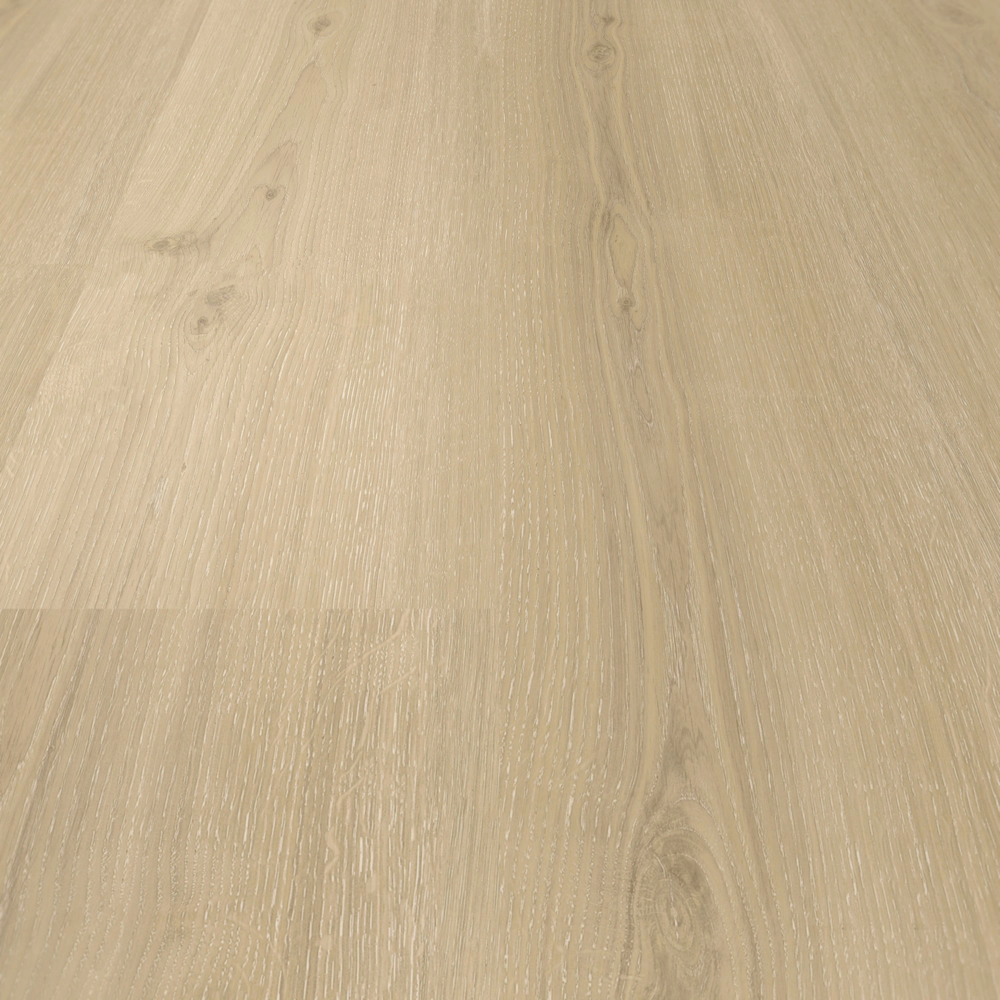 Detail Ansicht - Parador HDF Klick-Vinyl Basic 30 Eiche Regent beige Detail Ansicht - Parador 1748799