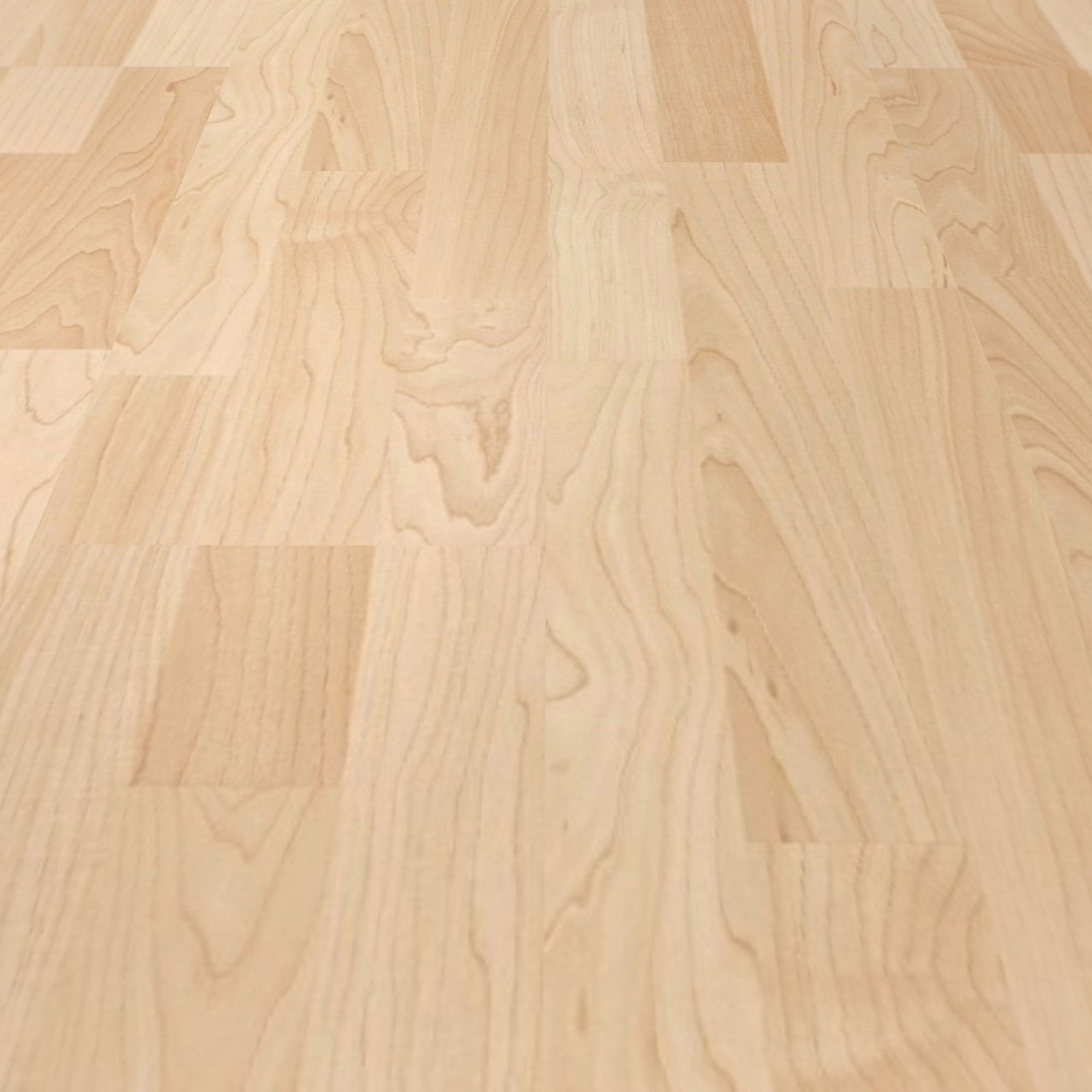 Detail Ansicht - MEISTER 600012-1288198-00202