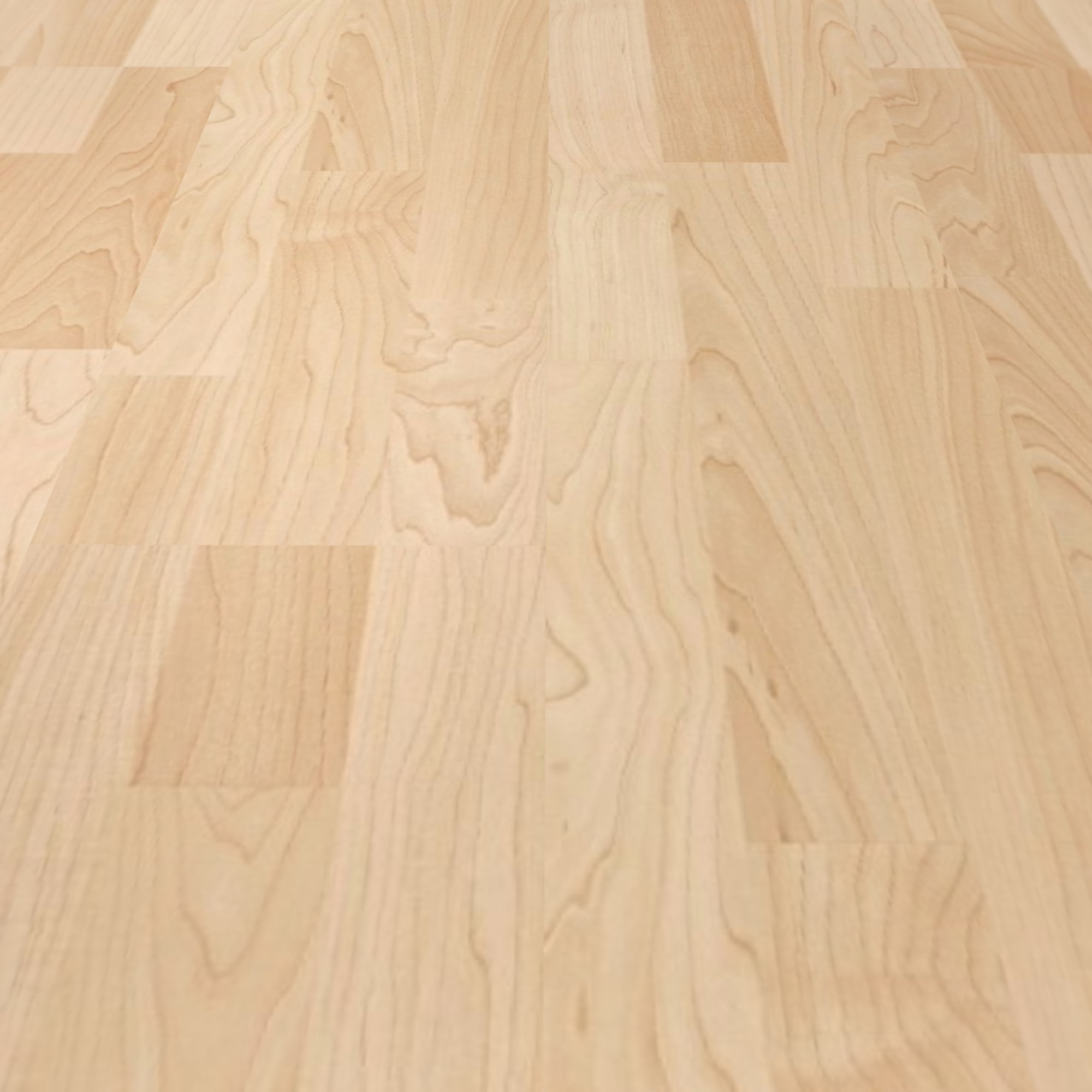 Detail Ansicht - MEISTER 600012-1288198-00202