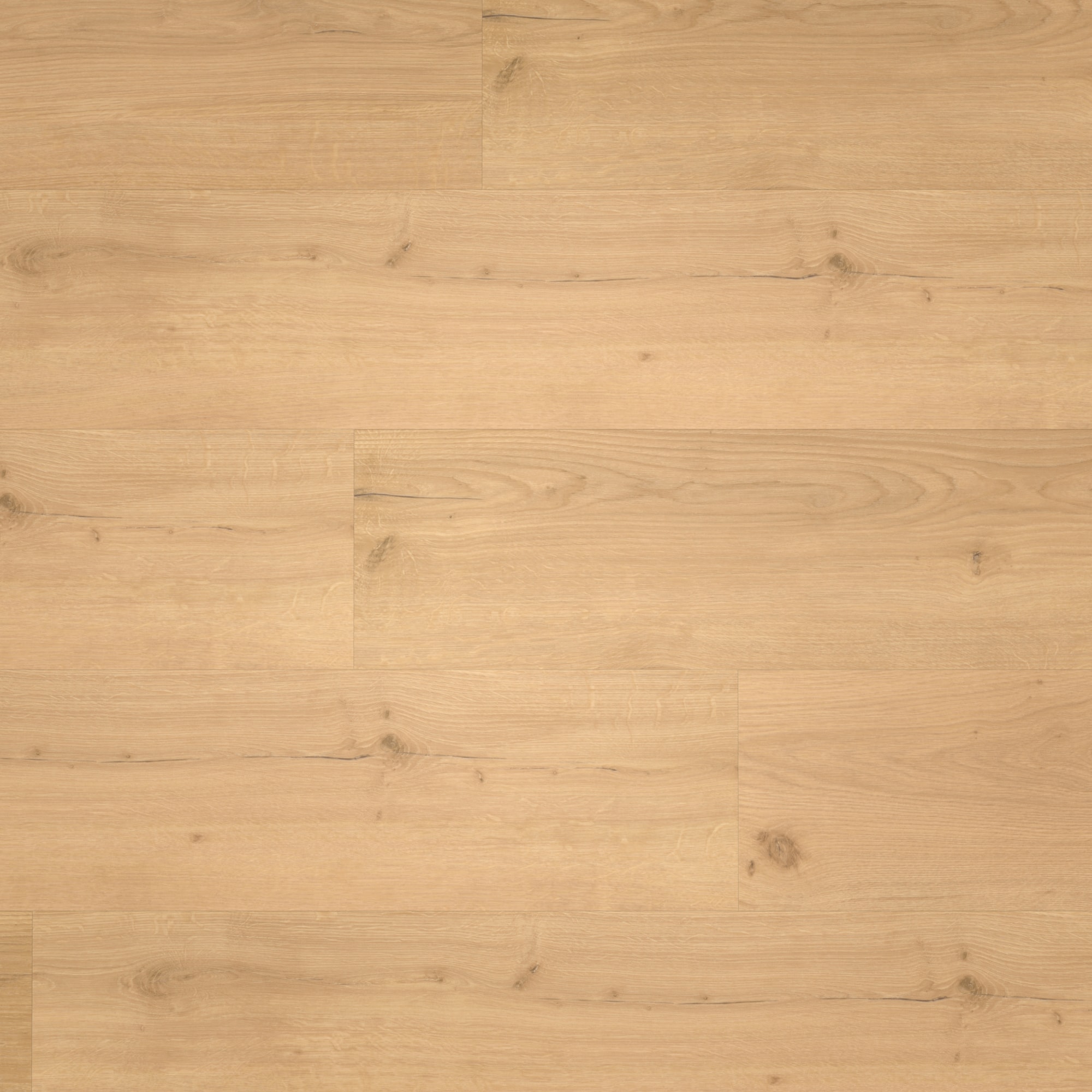 Draufsicht - Parador Klebe-Vinyl Basic 2.0 Eiche Infinity natur Draufsicht - Parador 1730799