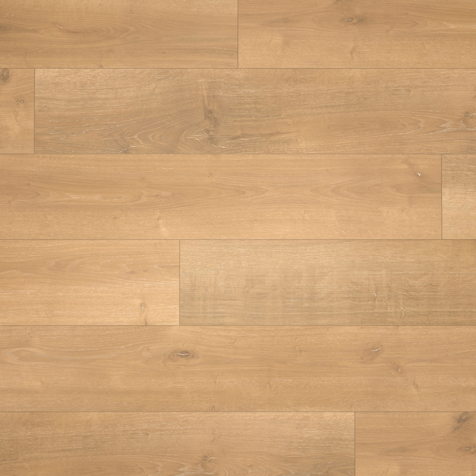 Parador Laminat Basic 400 Eiche Monterey leicht geweißt Seidenmatte Struktur 4V