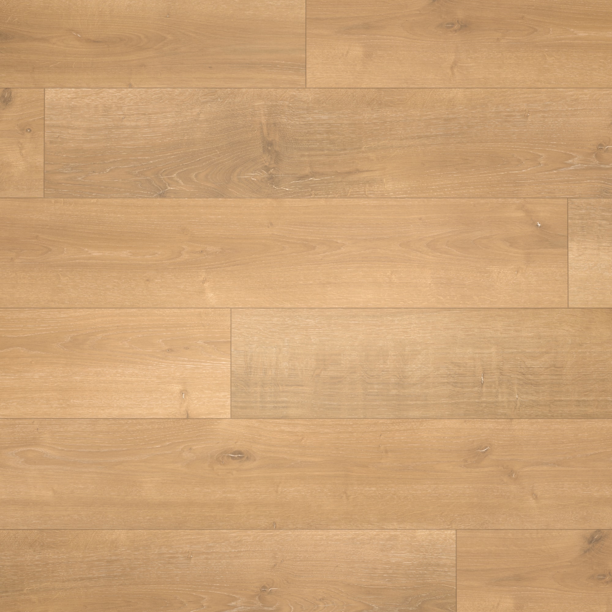 Parador Laminat Basic 400 Eiche Monterey leicht geweißt Seidenmatte Struktur 4V