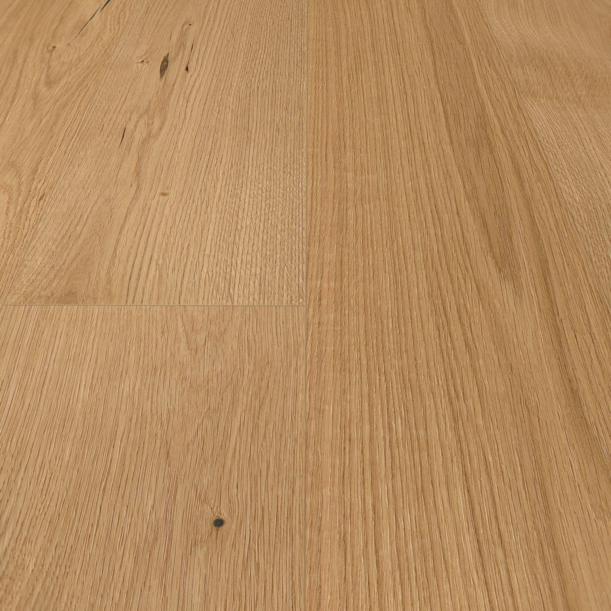 Detail Ansicht - MEISTER 500139-2200210-20017