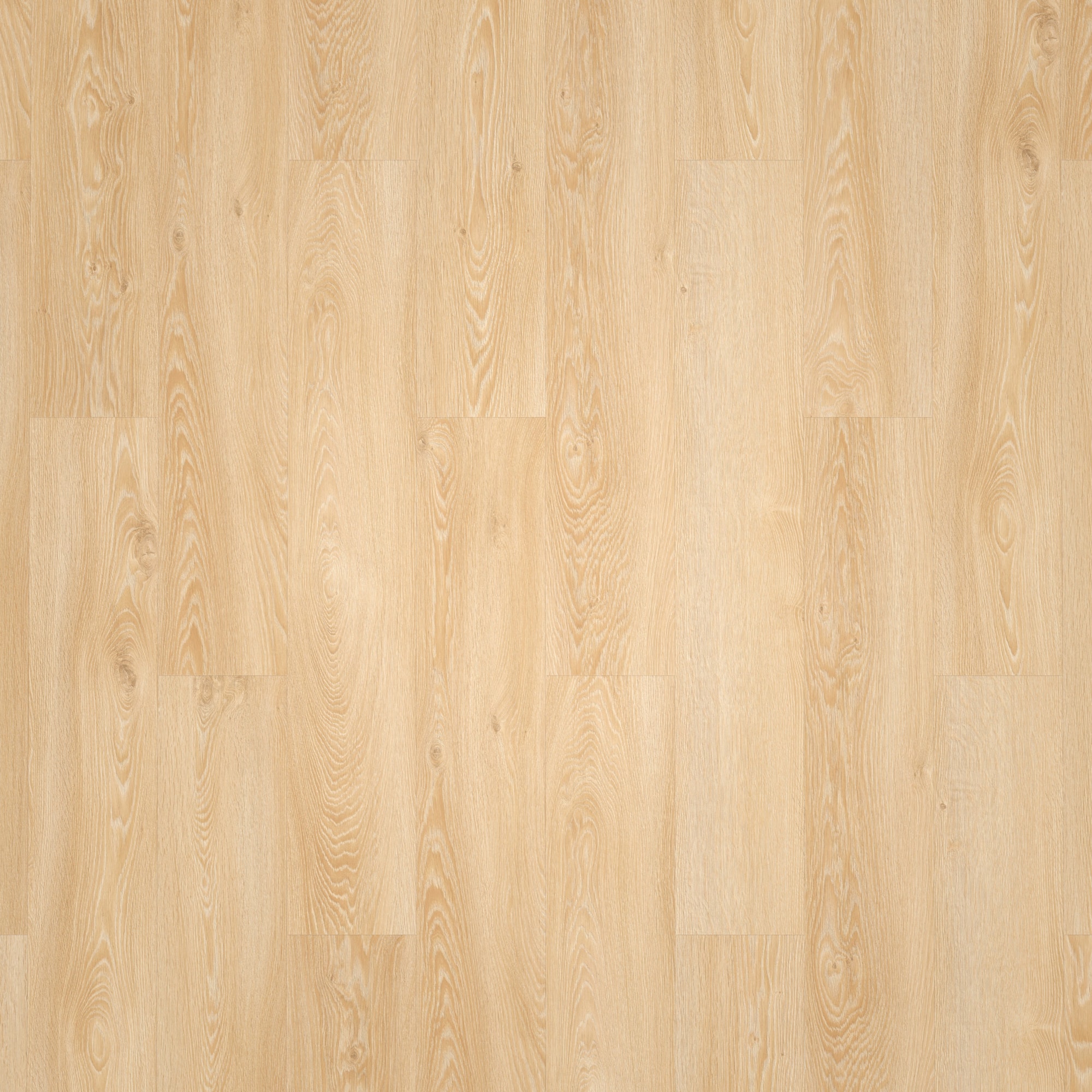 Draufsicht - Tarkett Klebe-Vinyl Essence 55 Cool Oak Classical Draufsicht - Tarkett 260053001