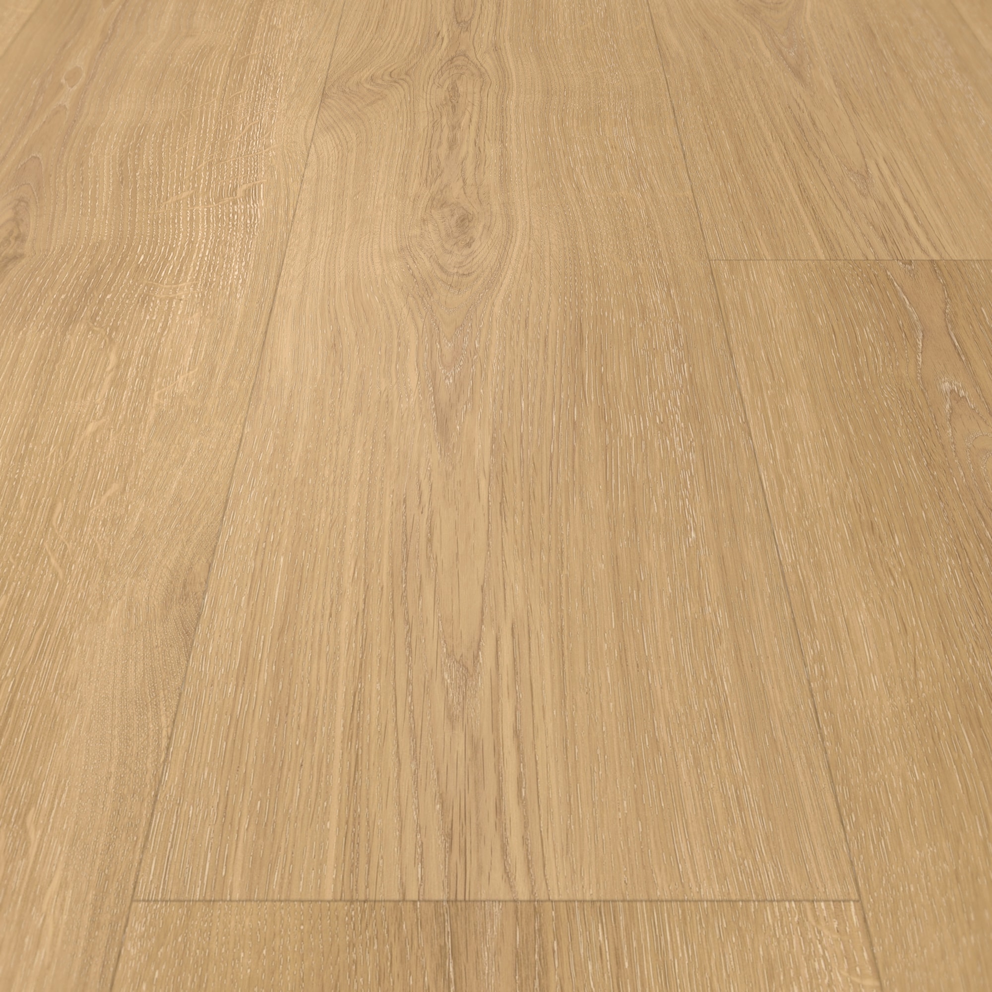 Detail Ansicht - Parador Klebe-Vinyl Classic 2025 Eiche Regent natur Detail Ansicht - Parador 1748866