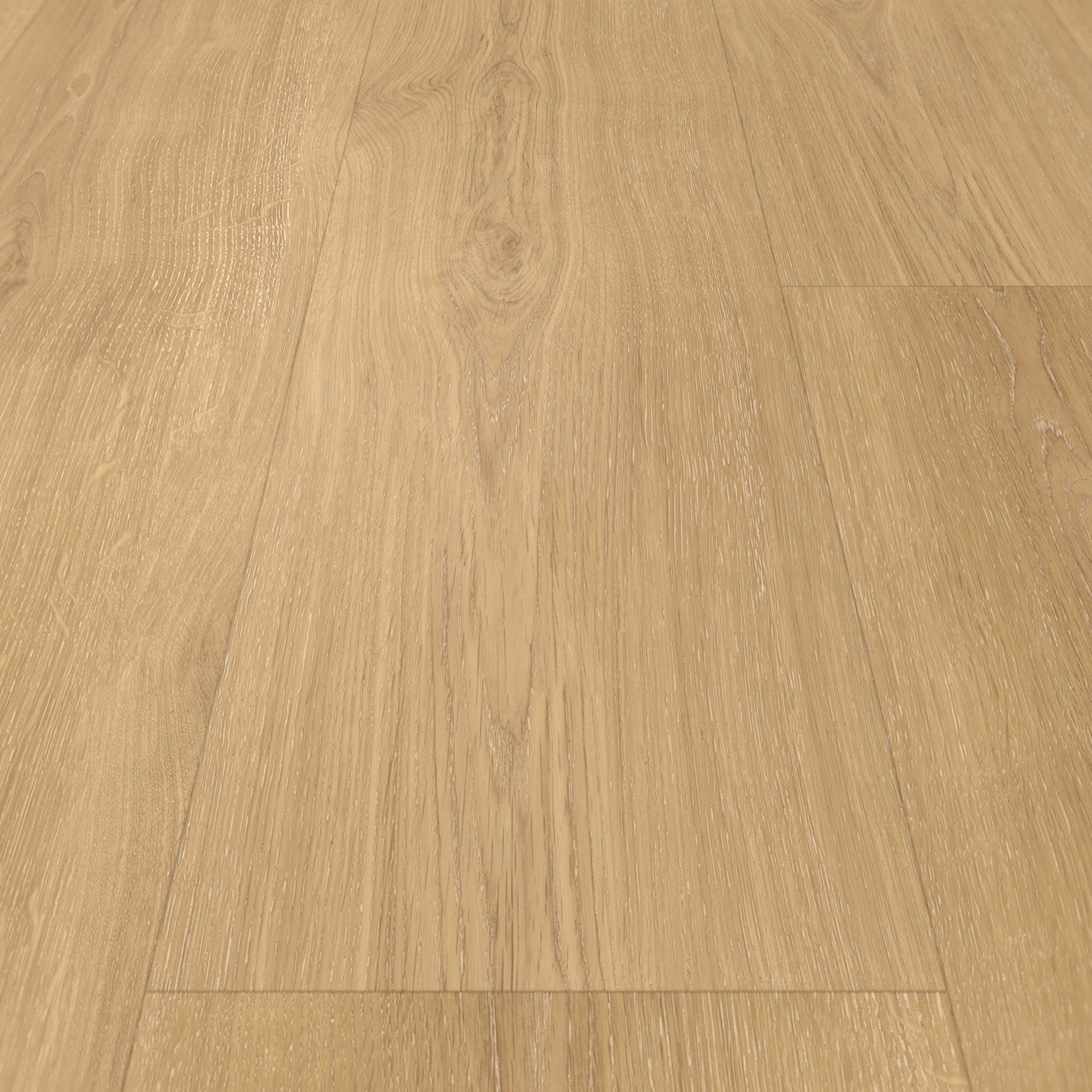 Detail Ansicht - Parador Klebe-Vinyl Classic 2025 Eiche Regent natur Detail Ansicht - Parador 1748866