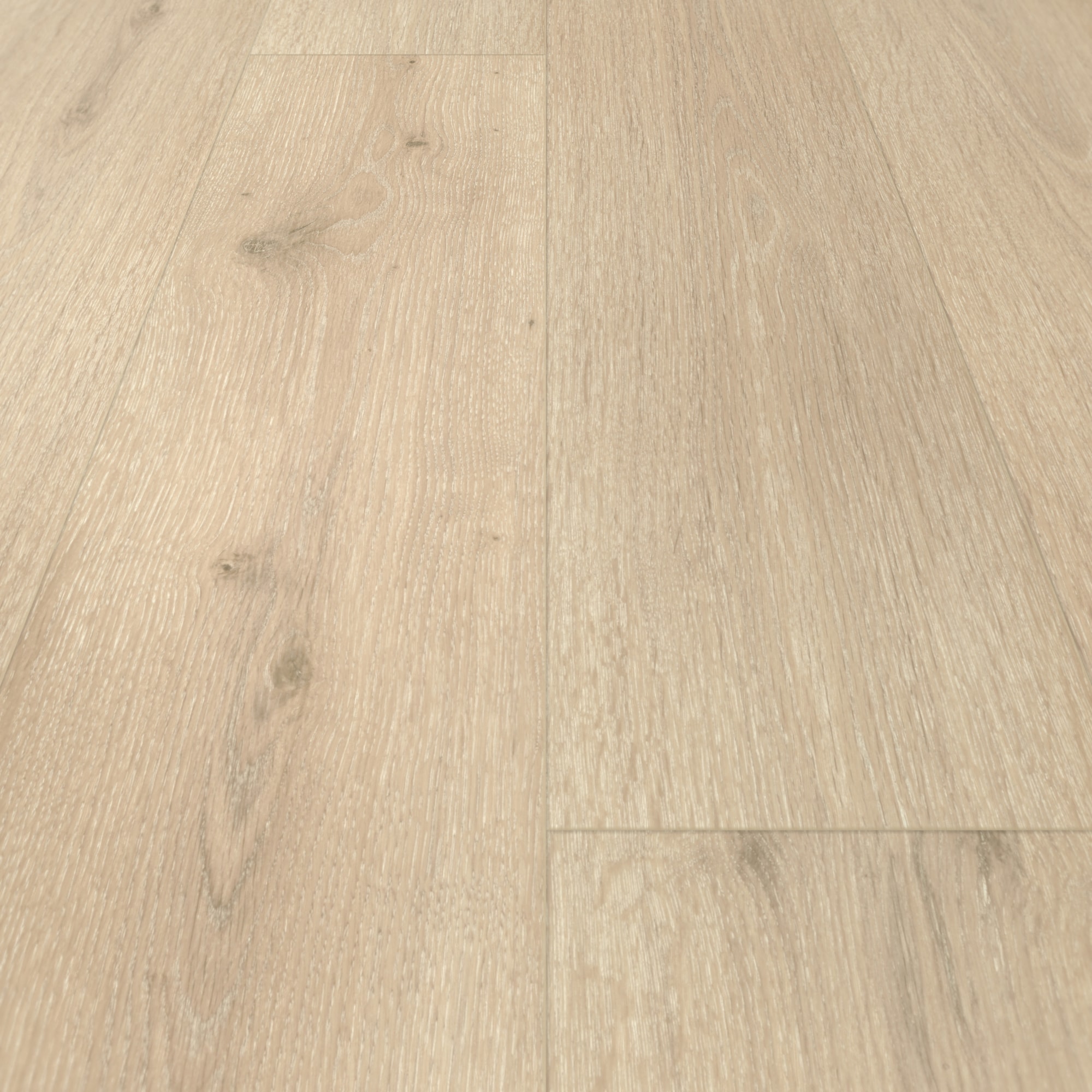 Parador HDF Klick-Designboden Modular ONE Eiche Urban hell Holzstruktur Landhausdiele Parador HDF Klick-Designboden Modular ONE Eiche Urban hell Holzstruktur Landhausdiele