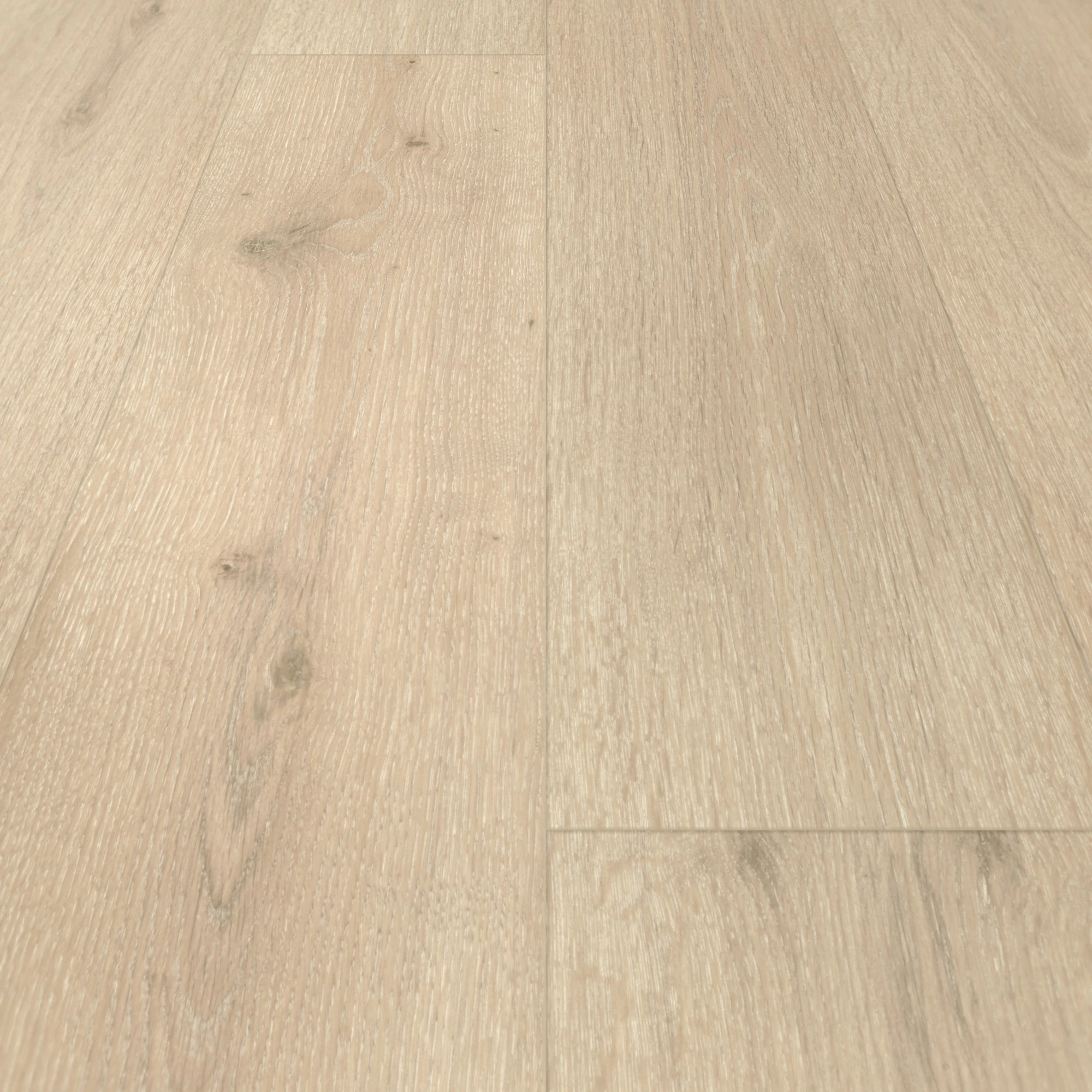 Parador HDF Klick-Designboden Modular ONE Eiche Urban hell Holzstruktur Landhausdiele Parador HDF Klick-Designboden Modular ONE Eiche Urban hell Holzstruktur Landhausdiele