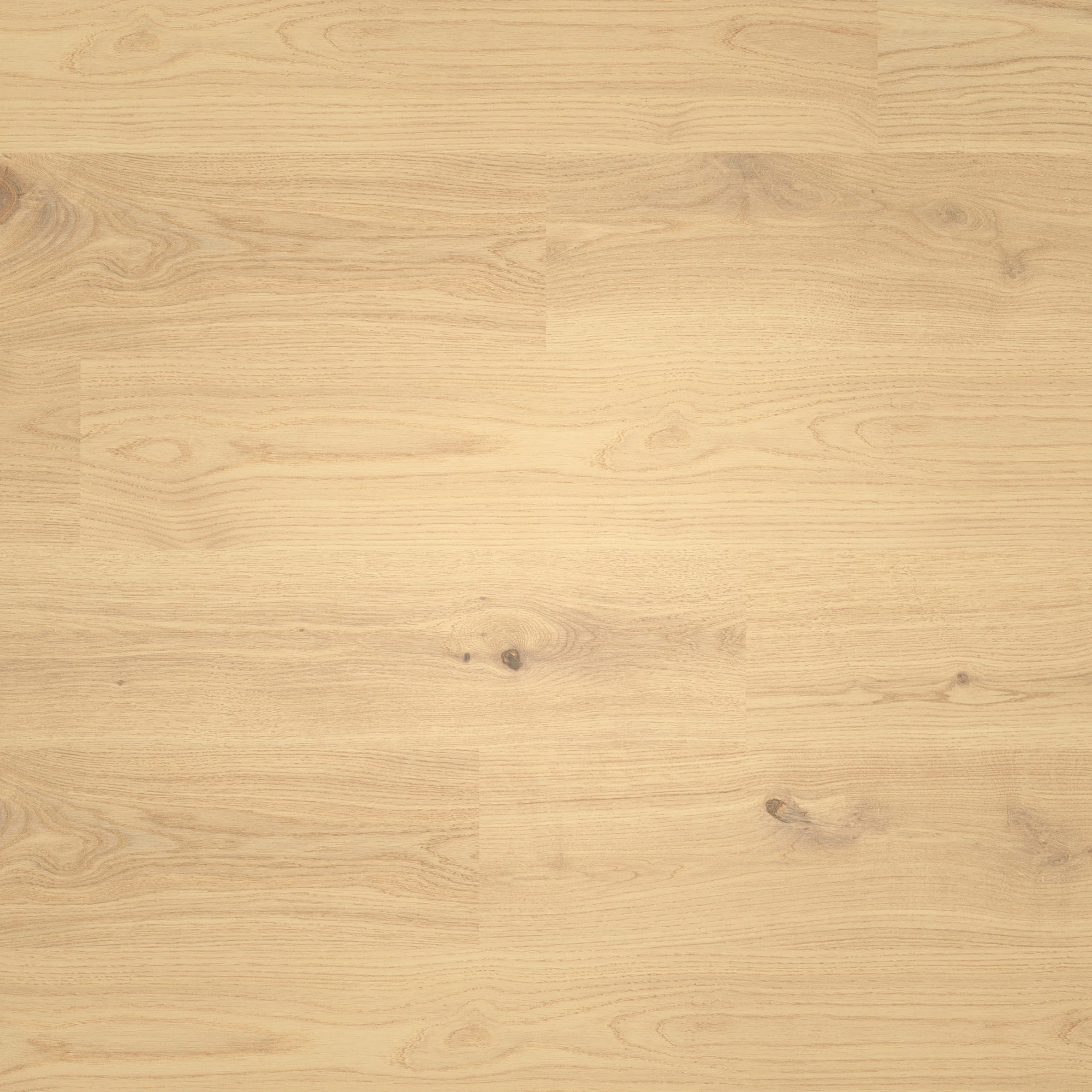 Draufsicht - ter Hürne Laminat Classic Edition Eiche Yoga Studio Draufsicht - ter Hürne 1101021833