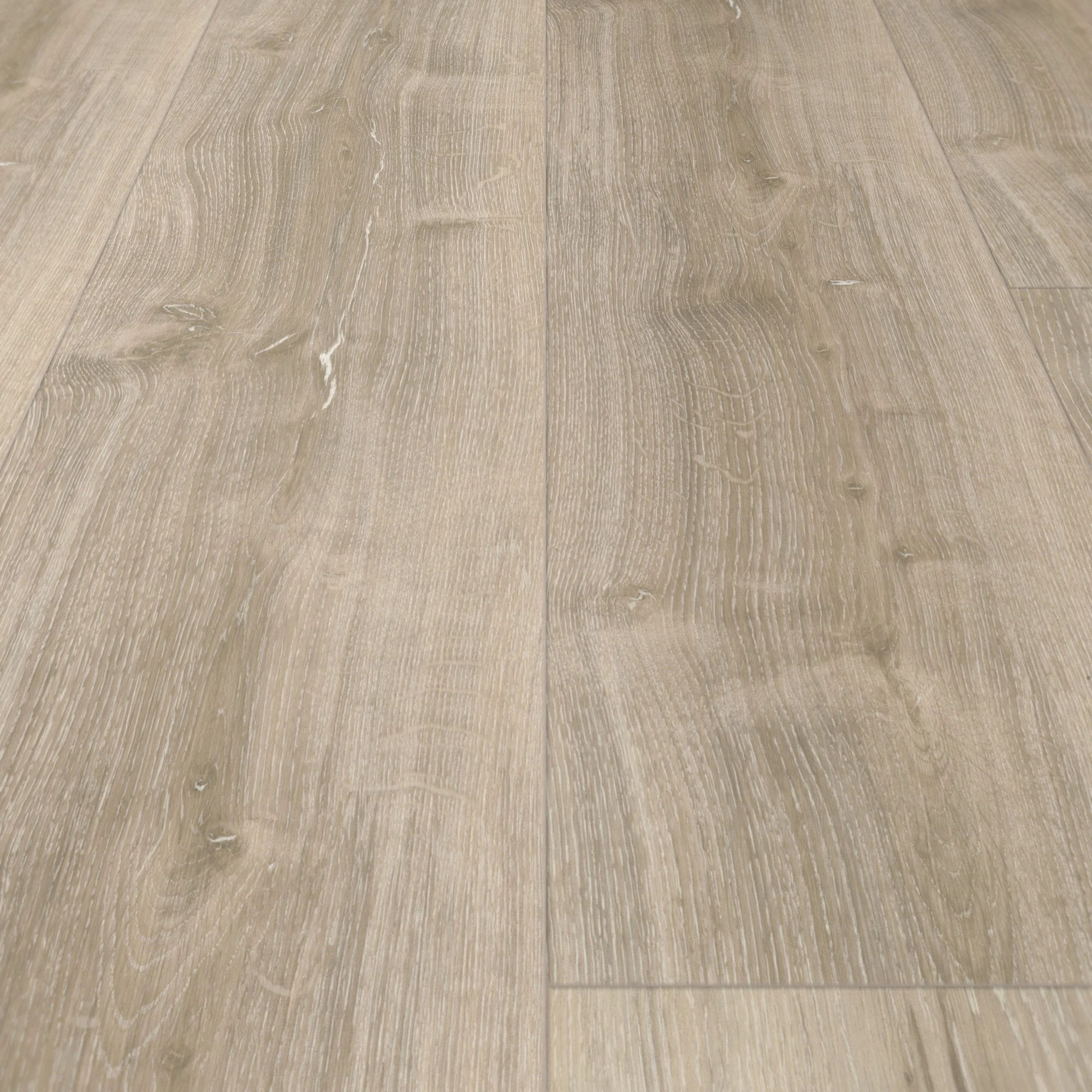 Detail Ansicht - Parador Rigid Klick-Vinyl Basic 5.3 Eiche grau geweißt Detail Ansicht - Parador 1743001