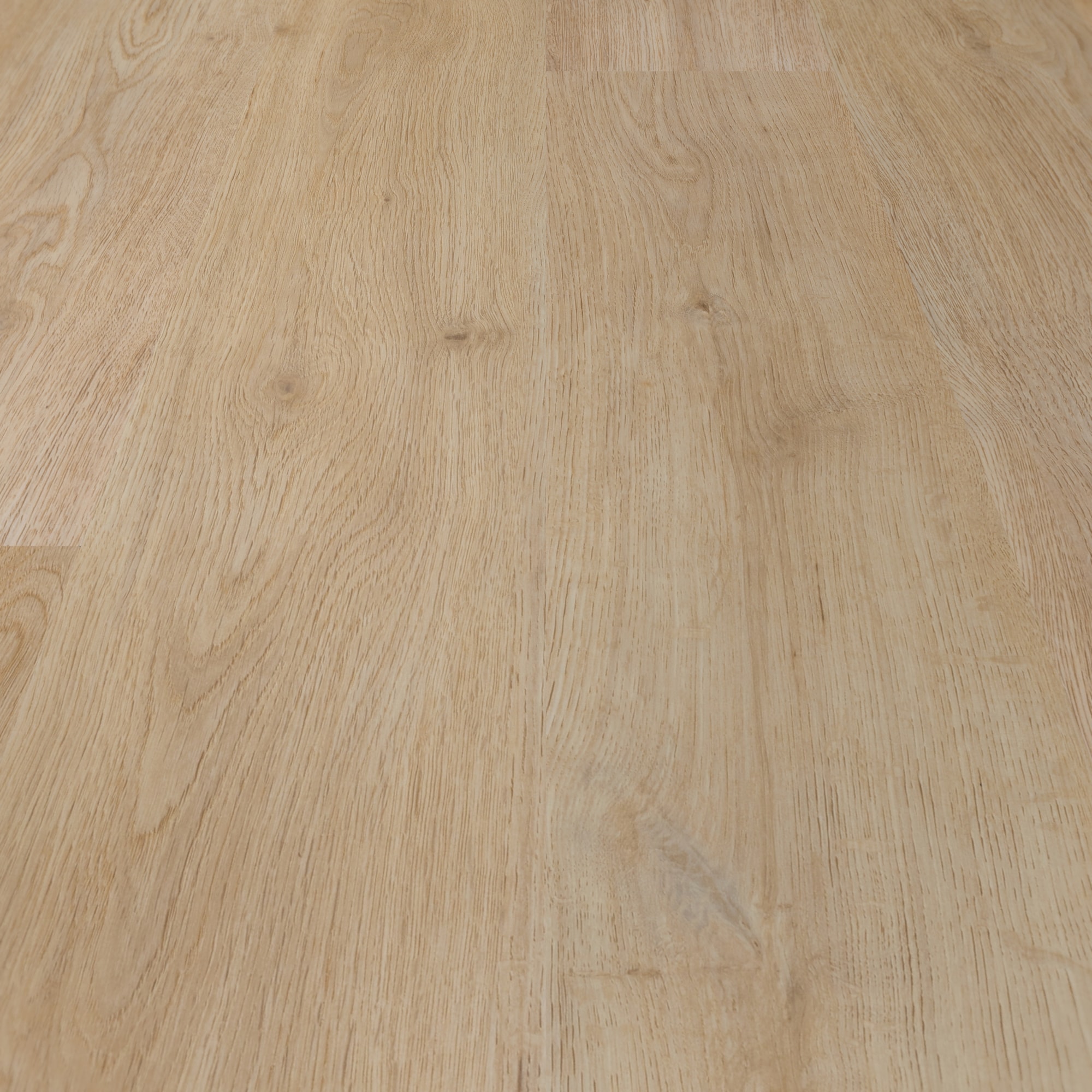Detail Ansicht - BerryAlloc Klebe-Vinyl Zenn Gluedown 55 Faro Detail Ansicht - BerryAlloc 60002257