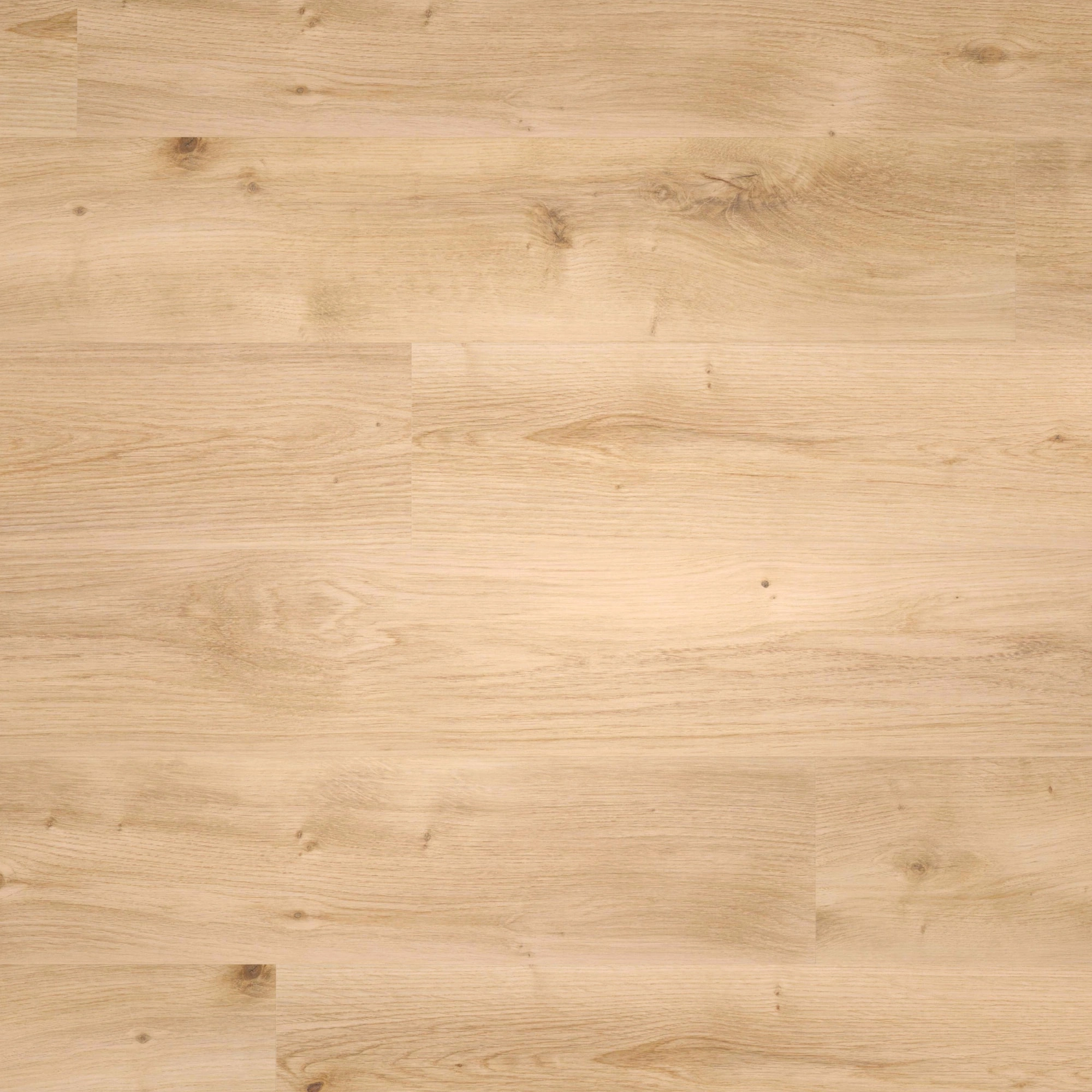 Draufsicht - wineo Klick-Bioboden PURLINE wineo 1000 wood L Intensive Oak Honey Draufsicht - wineo PLC299R