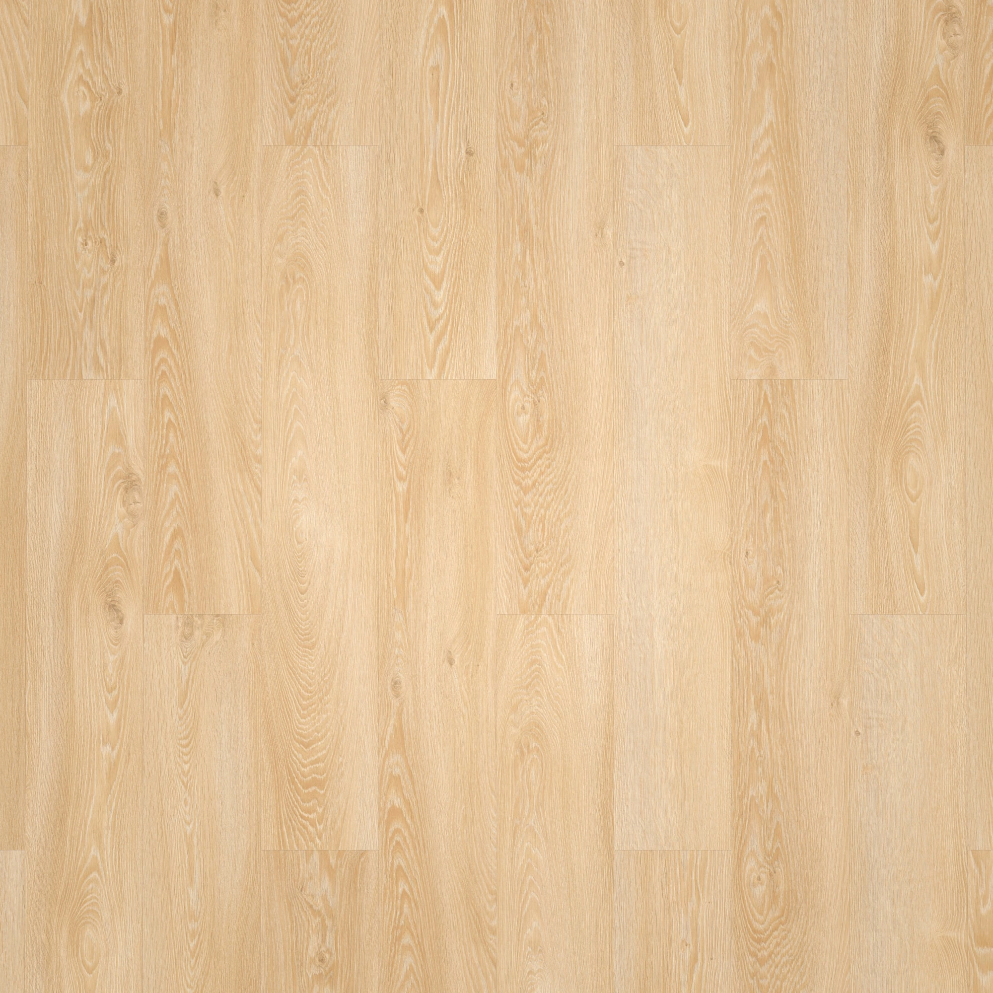 Draufsicht - Tarkett Klebe-Vinyl Essence 30 Cool Oak Classical Draufsicht - Tarkett 260055001