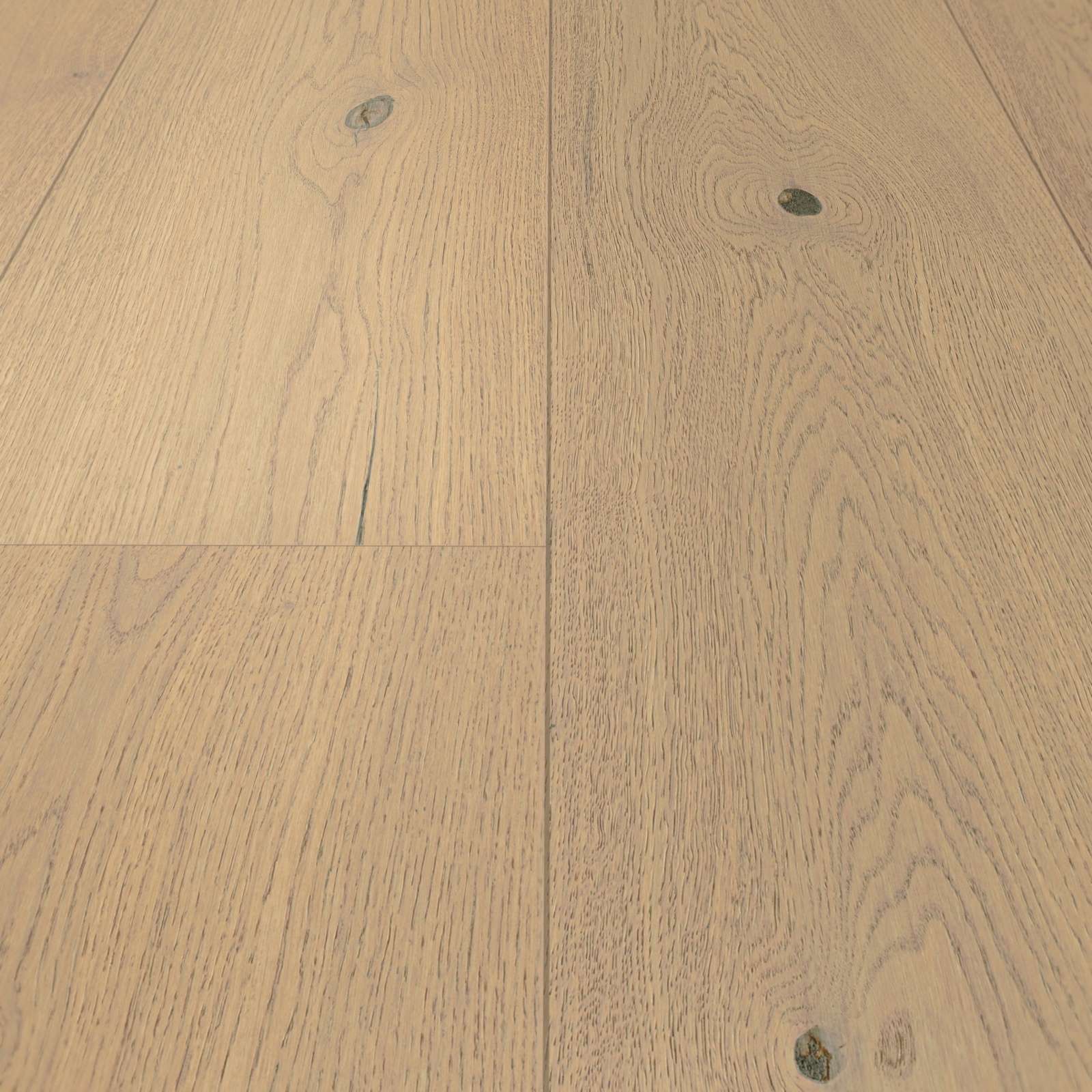 Detail Ansicht - MEISTER 500214-2200270-20226