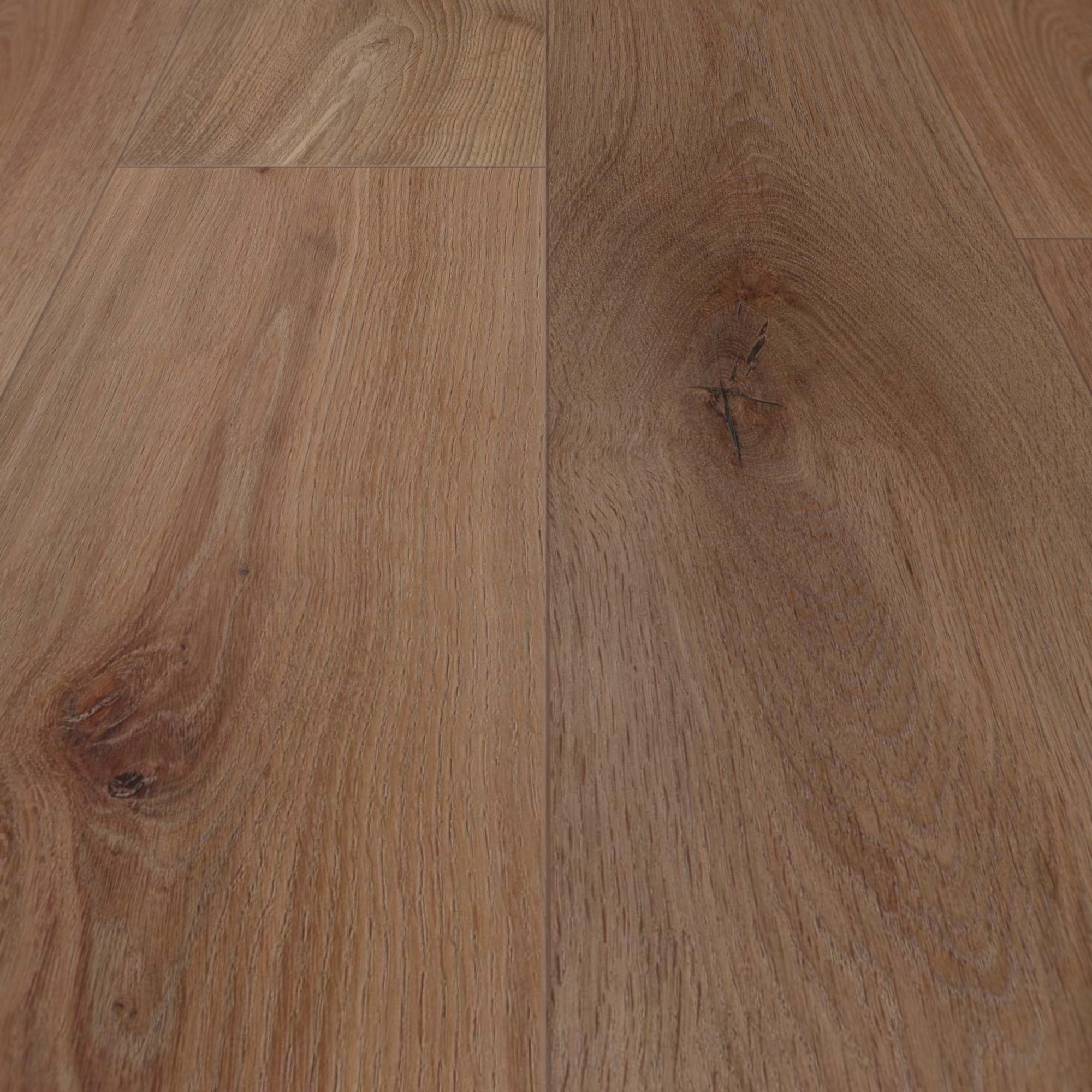Detail Ansicht - wineo HDF Klick-Bioboden PURLINE wineo 1000 wood XL Noble Oak Chocolate Detail Ansicht - wineo MLP312R