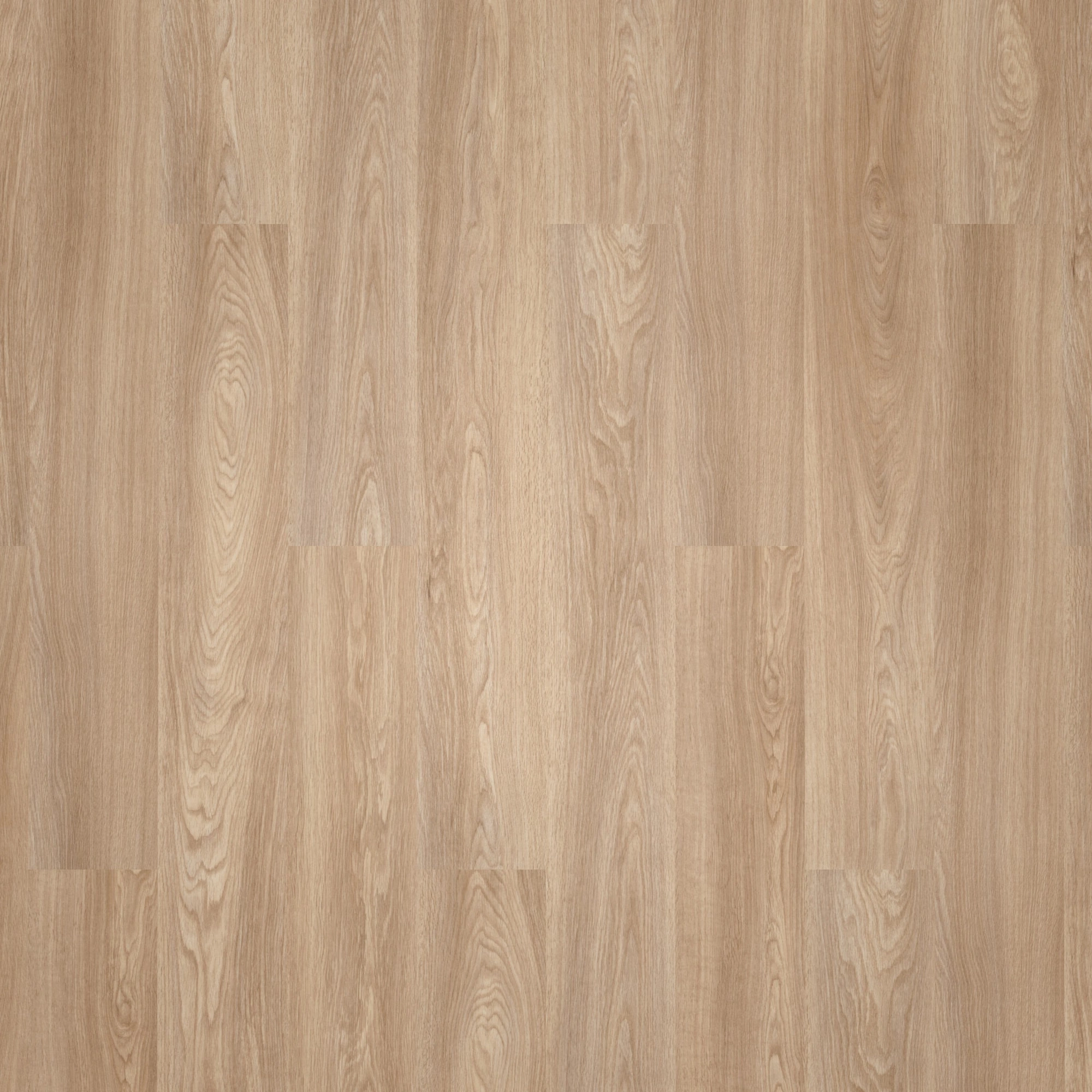 Detail Ansicht - Forbo Flooring Klebe-Vinyl Allura Dryback 0.55 Wood Natural Serene Oak Detail Ansicht - Forbo Flooring 243560